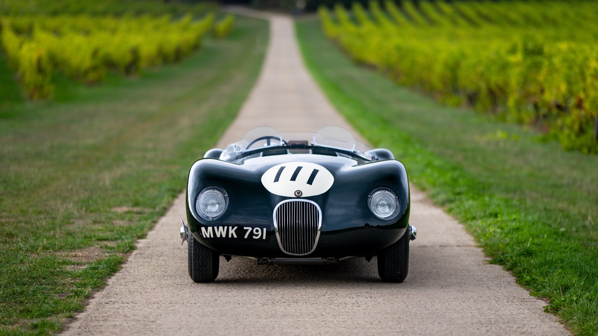 1953 Jaguar C-Type - C-Type Recreation, foto 7