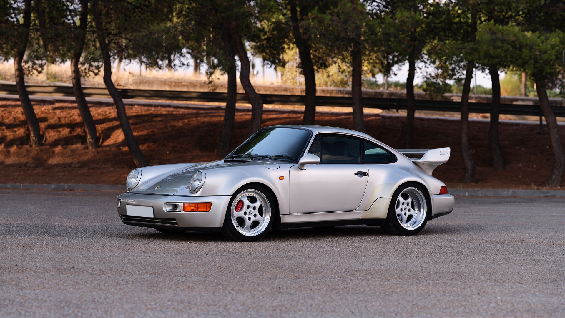 1993 Porsche 911 / 964 Carrera RS - 911 Carrera RS 3.8, foto 1