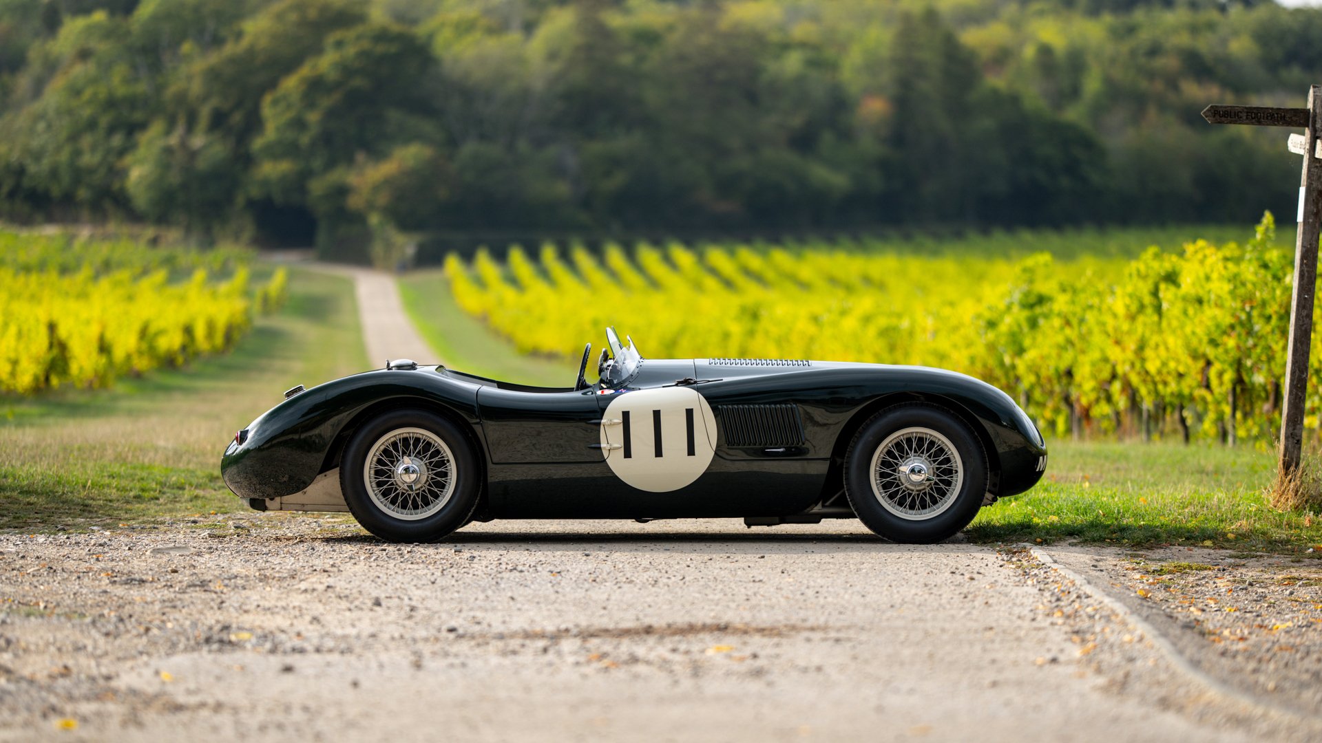 1953 Jaguar C-Type - C-Type Recreation, foto 5