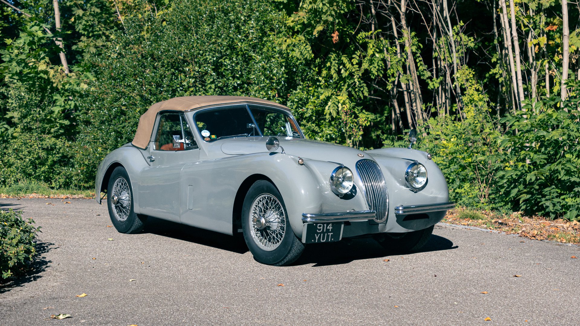 1953 Jaguar XK 120 - XK 120 SE Drophead Coupé, foto 8