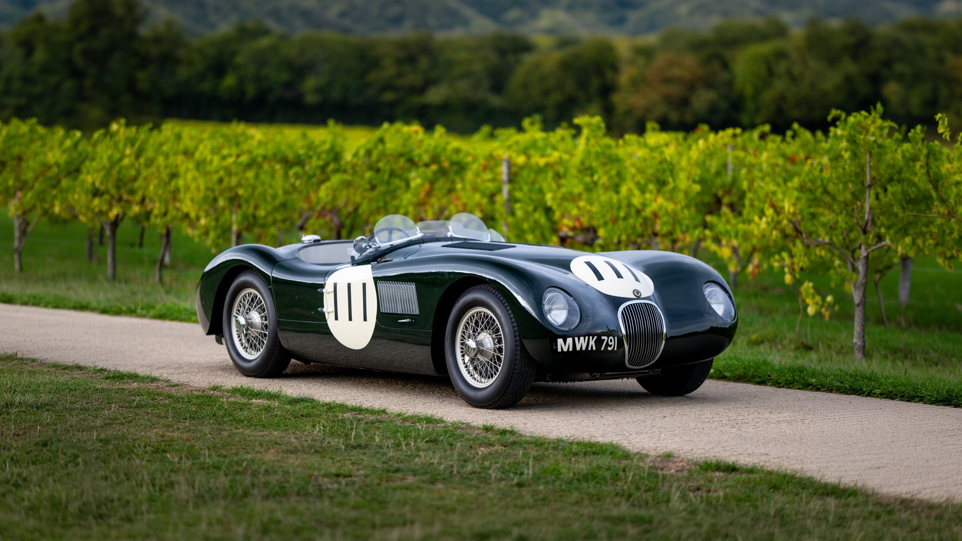 1953 Jaguar C-Type - C-Type Recreation, foto 1