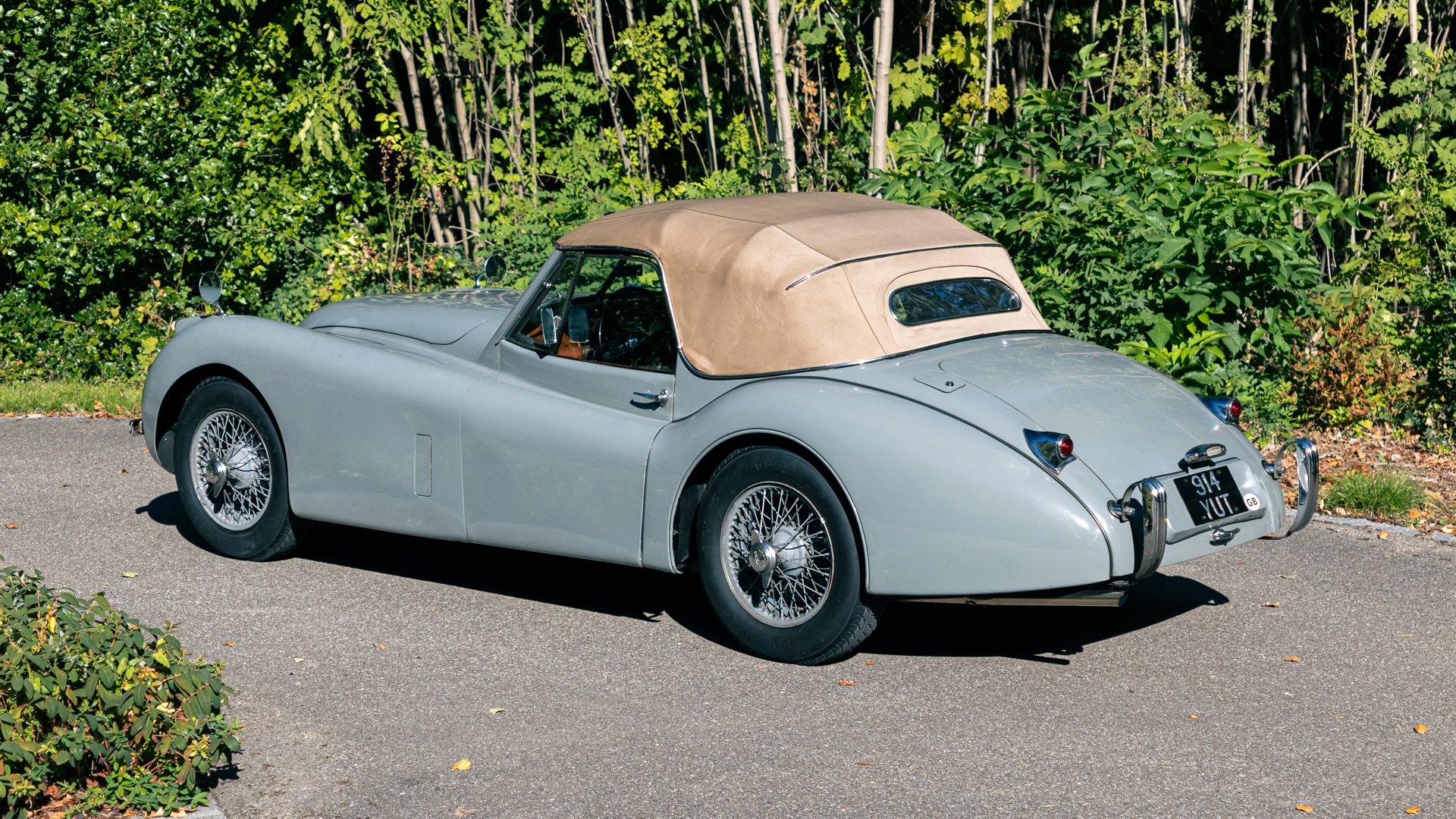 1953 Jaguar XK 120 - XK 120 SE Drophead Coupé, foto 2