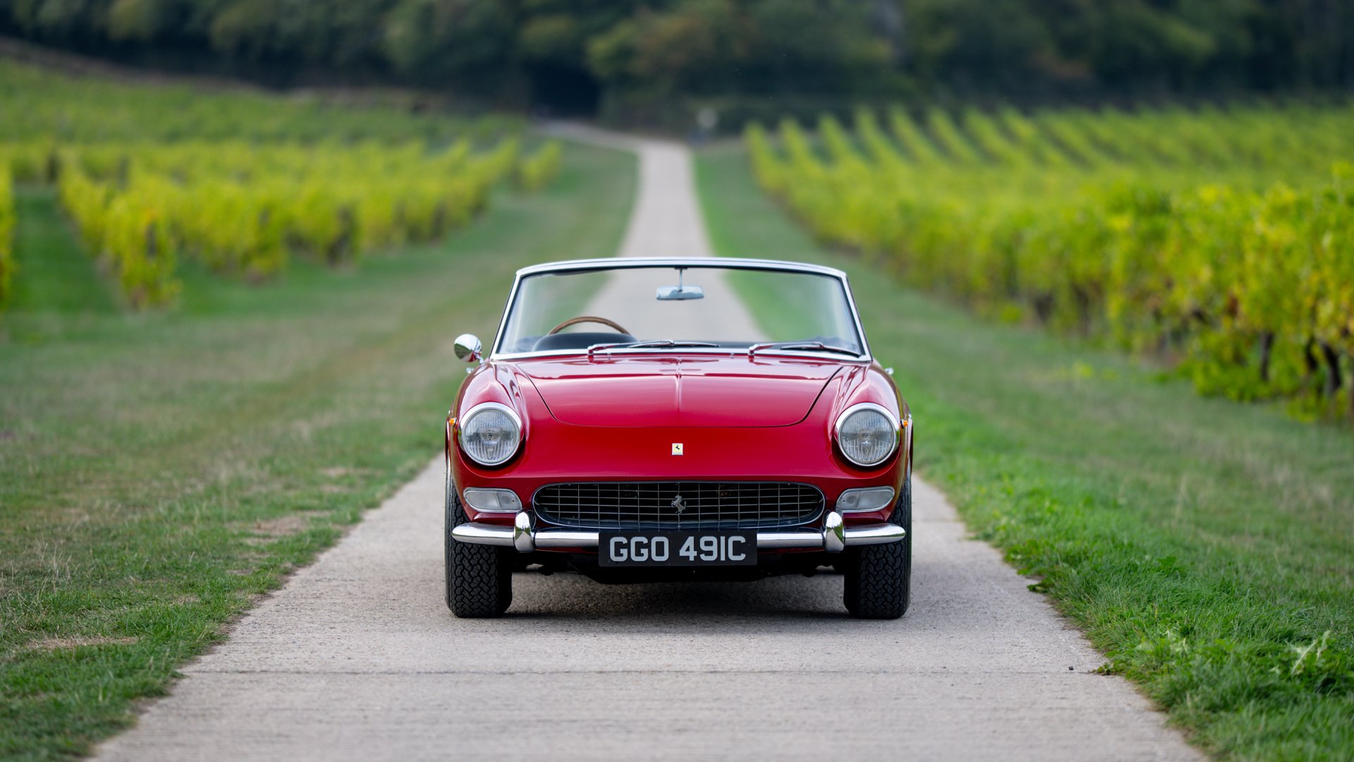1965 Ferrari 275 - 275 GTS, foto 7