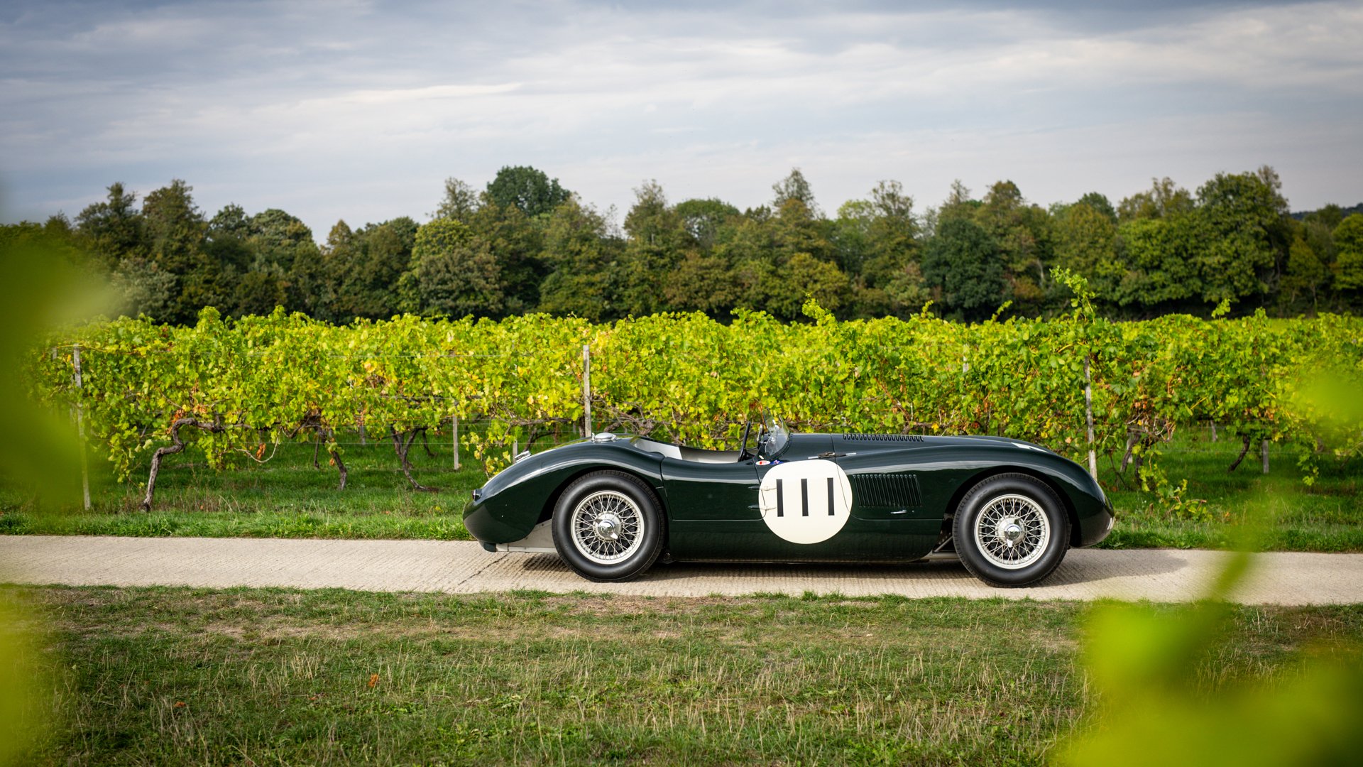 1953 Jaguar C-Type - C-Type Recreation, foto 9