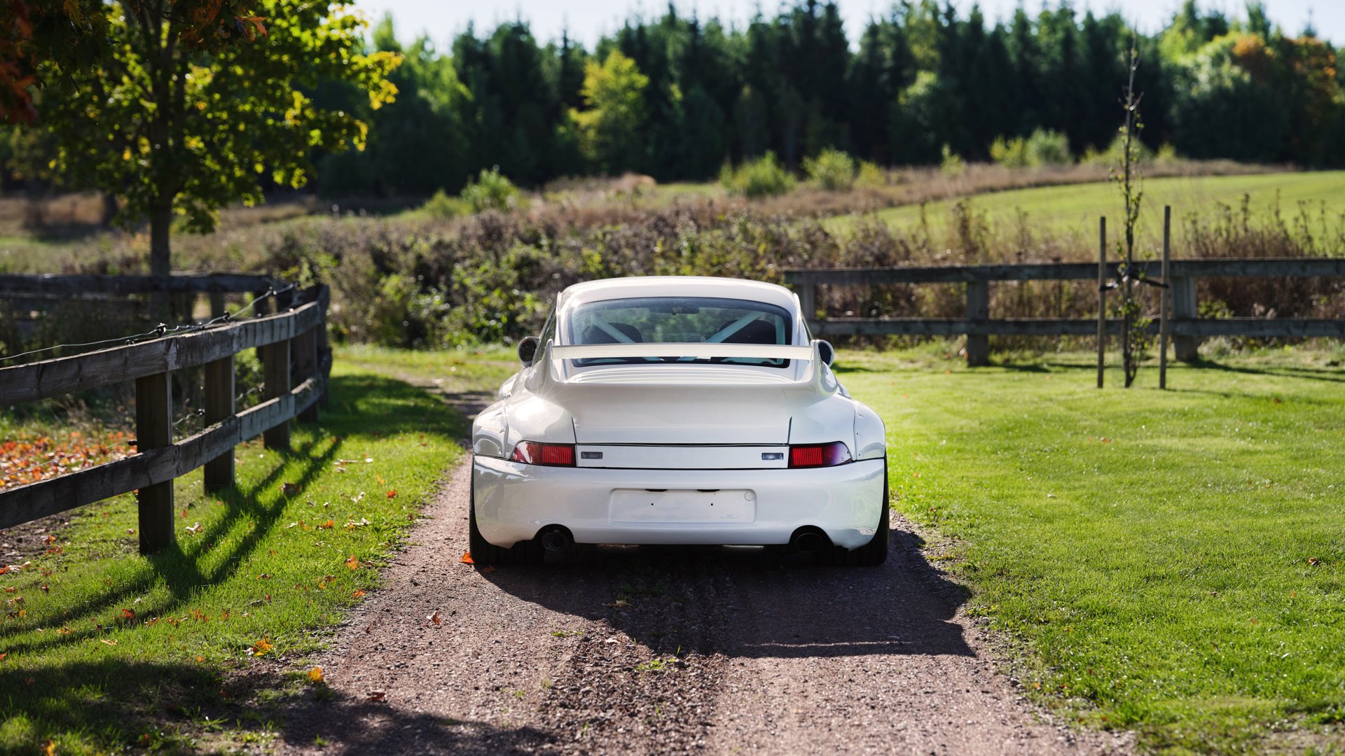 1995 Porsche 911 RS - 911 Carrera RS 3.8 Clubsport, foto 8