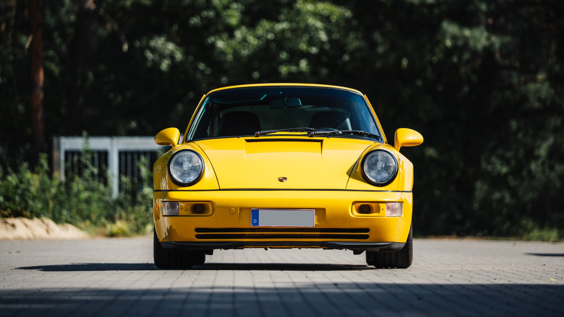 1993 Porsche 911 / 964 Carrera RS - 911 Carrera RS 3.8, foto 7