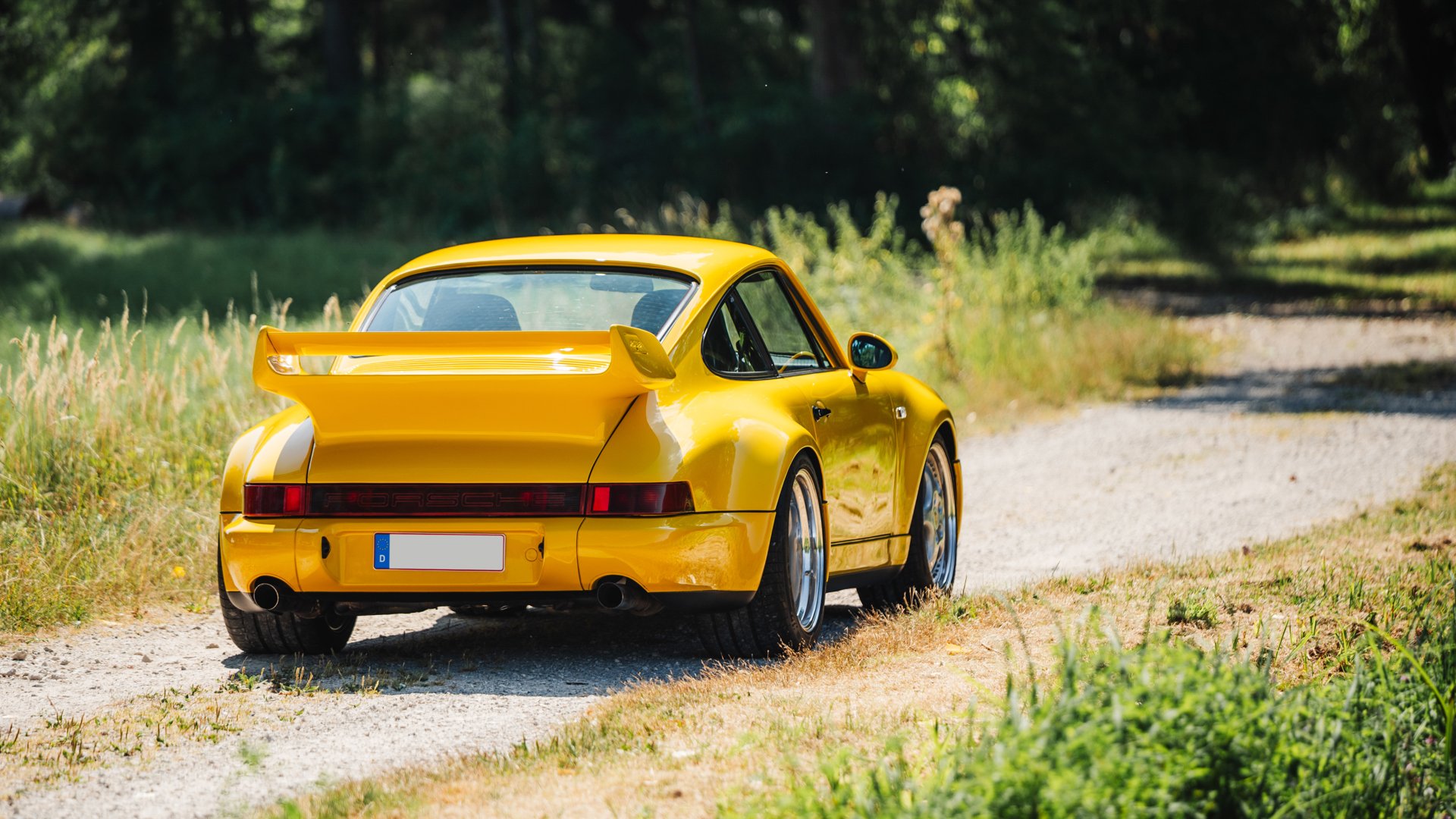 1993 Porsche 911 / 964 Carrera RS - 911 Carrera RS 3.8, foto 9