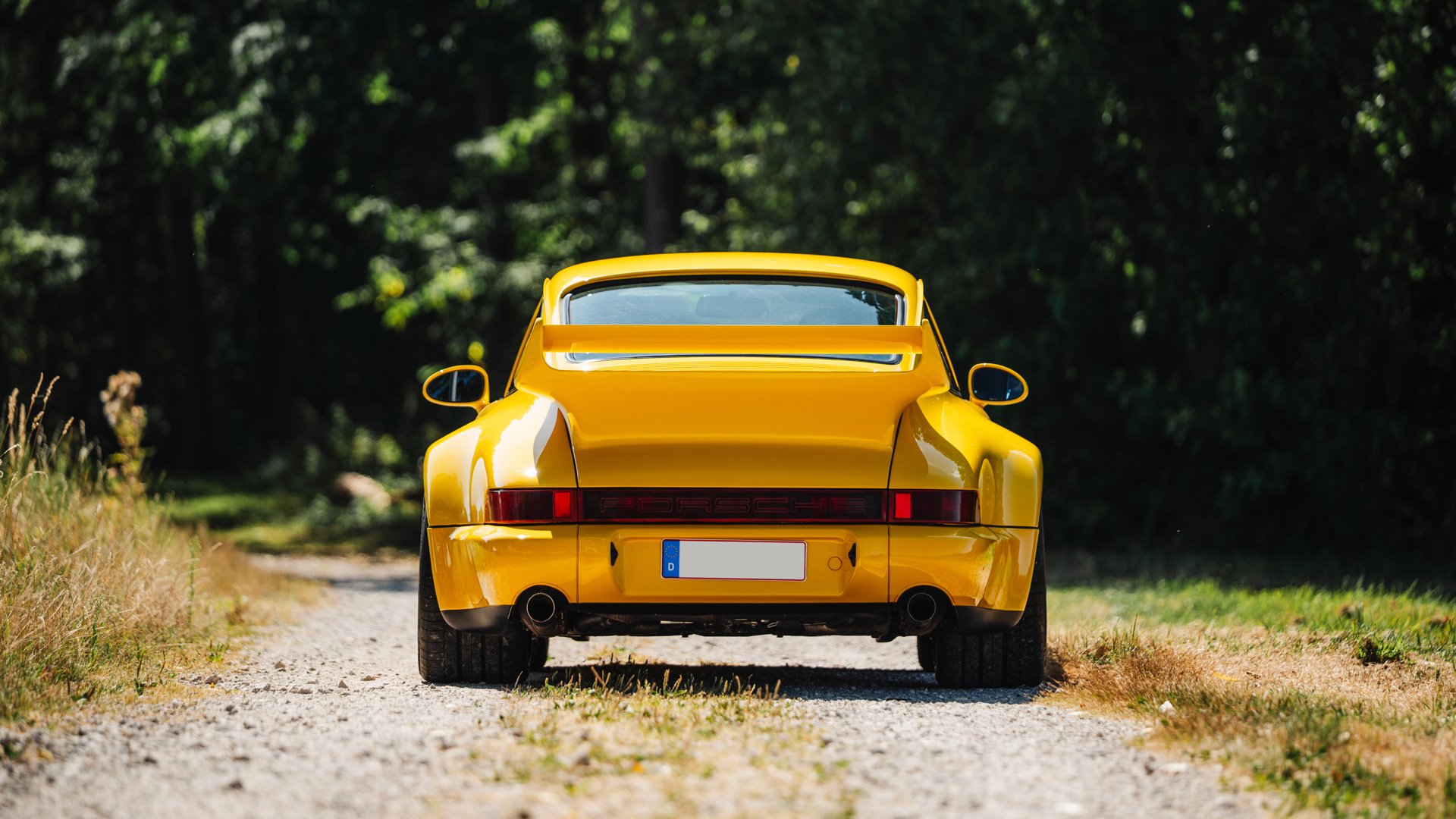 1993 Porsche 911 / 964 Carrera RS - 911 Carrera RS 3.8, foto 8