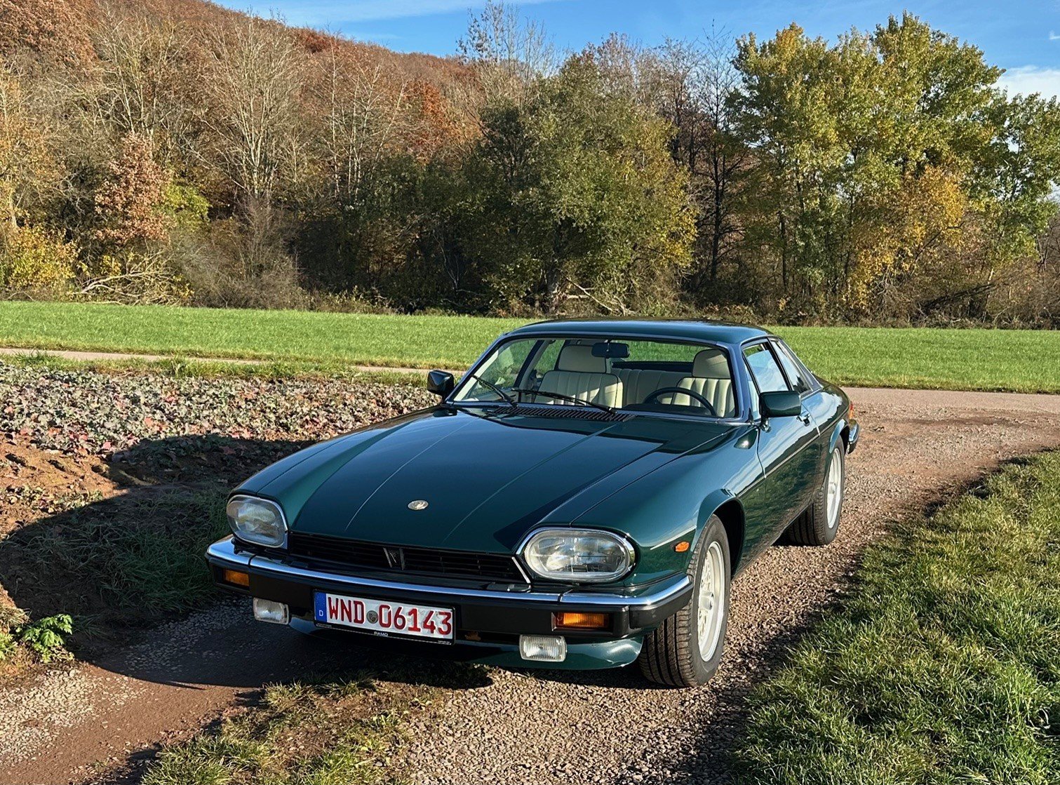 1991 Jaguar XJS - XJS Le Mans Edition, foto 3