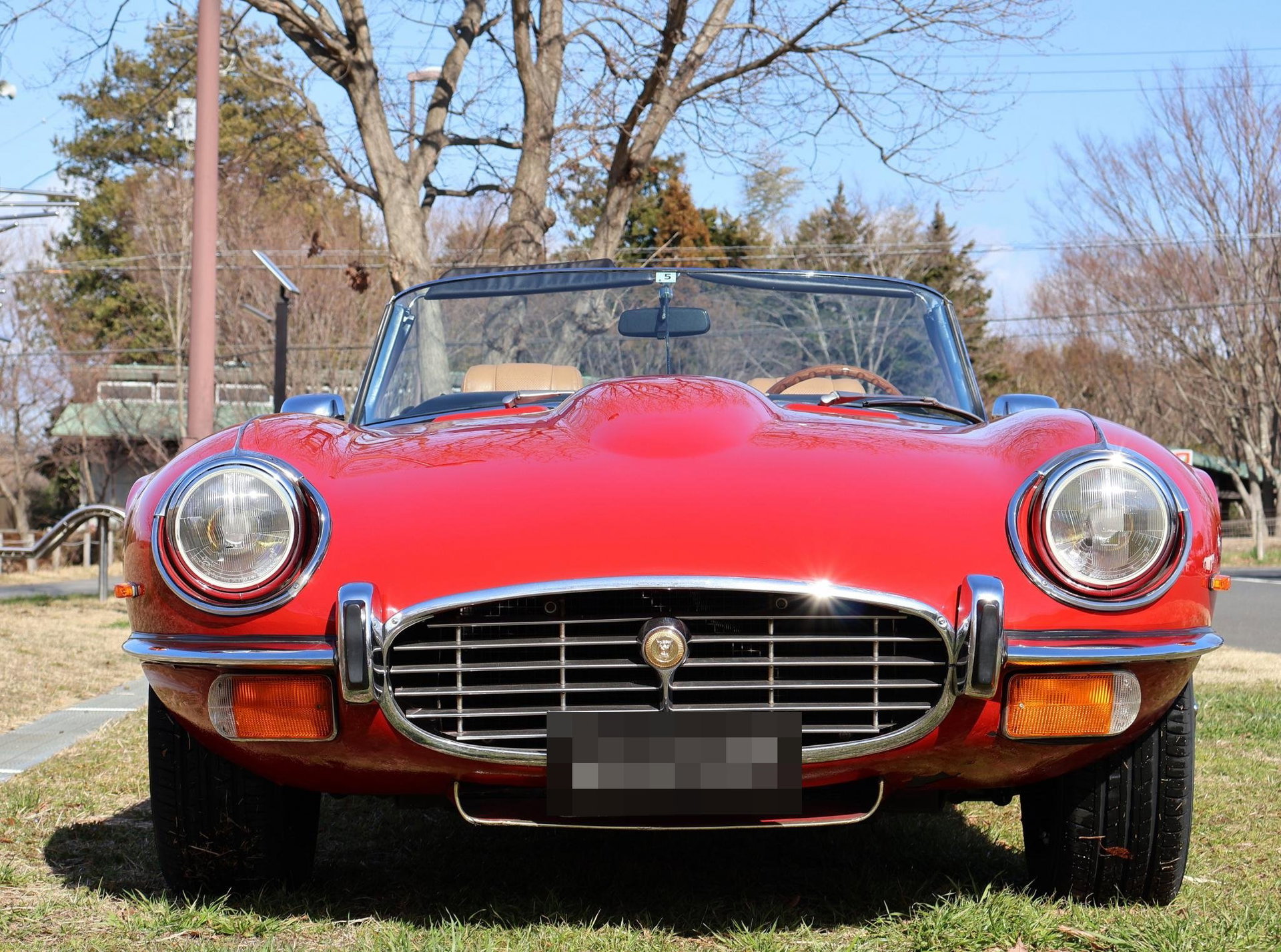 1973 Jaguar E-Type SIII - Roadster, foto 2