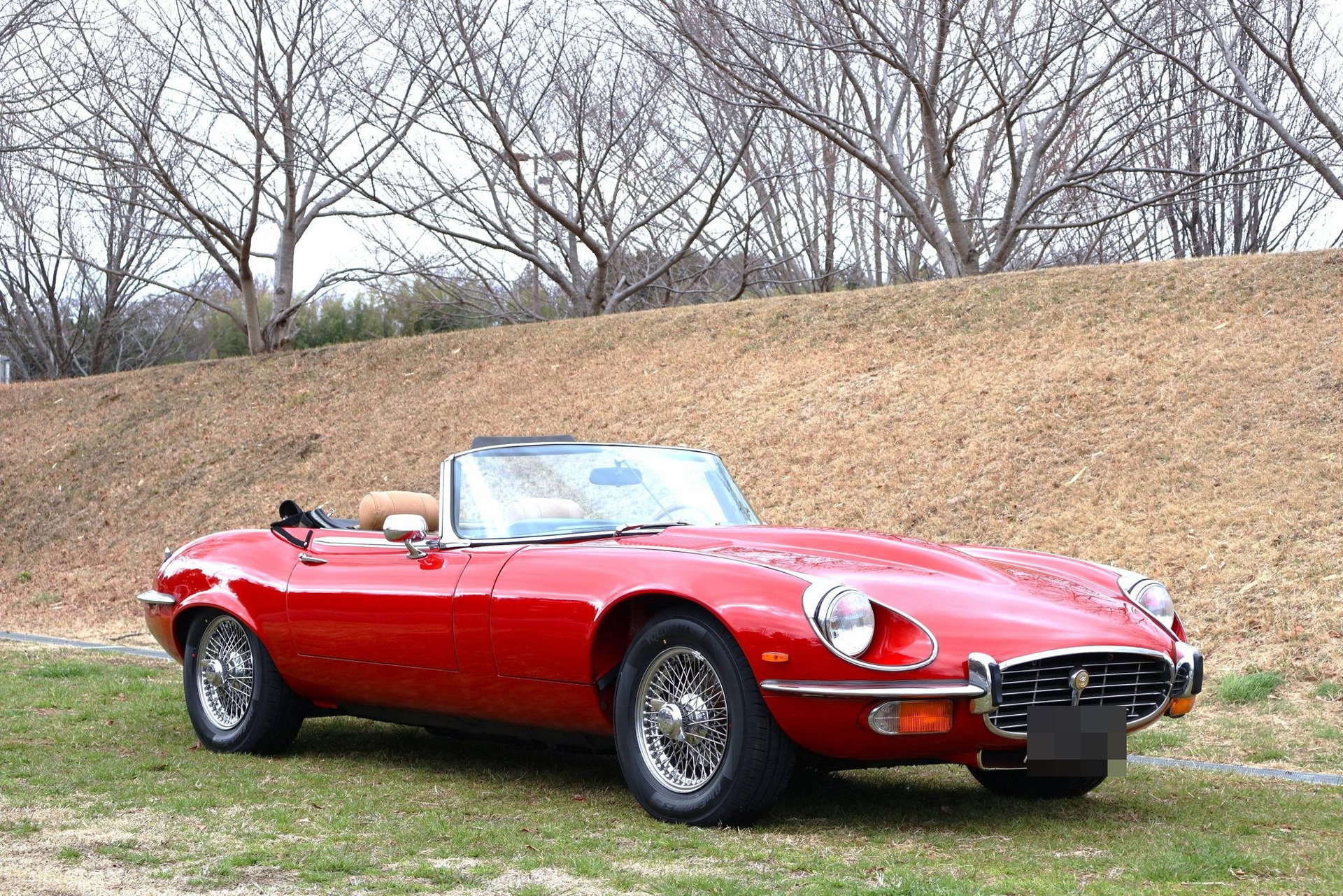 1973 Jaguar E-Type SIII - Roadster, foto 3