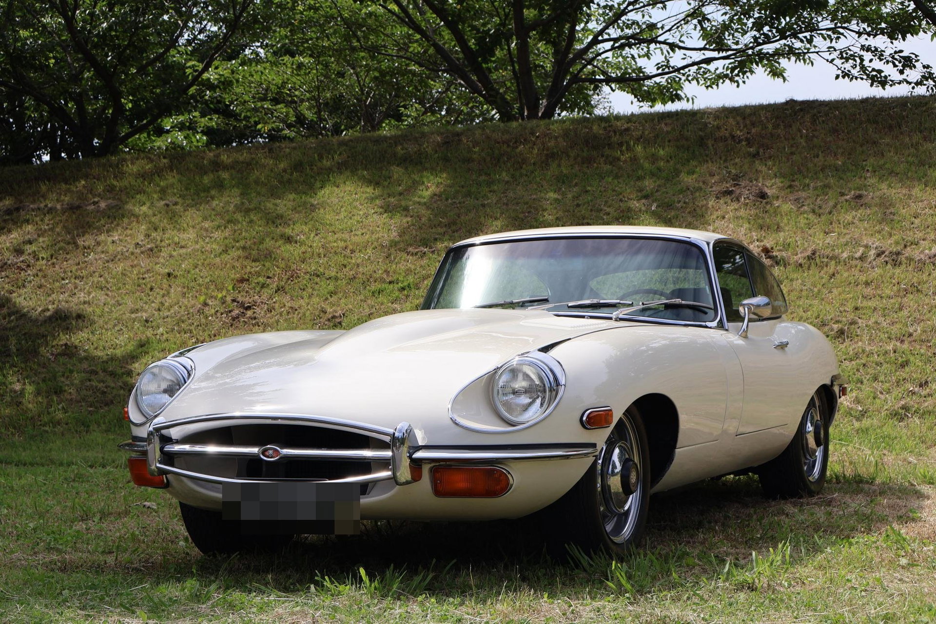1969 Jaguar E-Type SII - FHC, foto 2