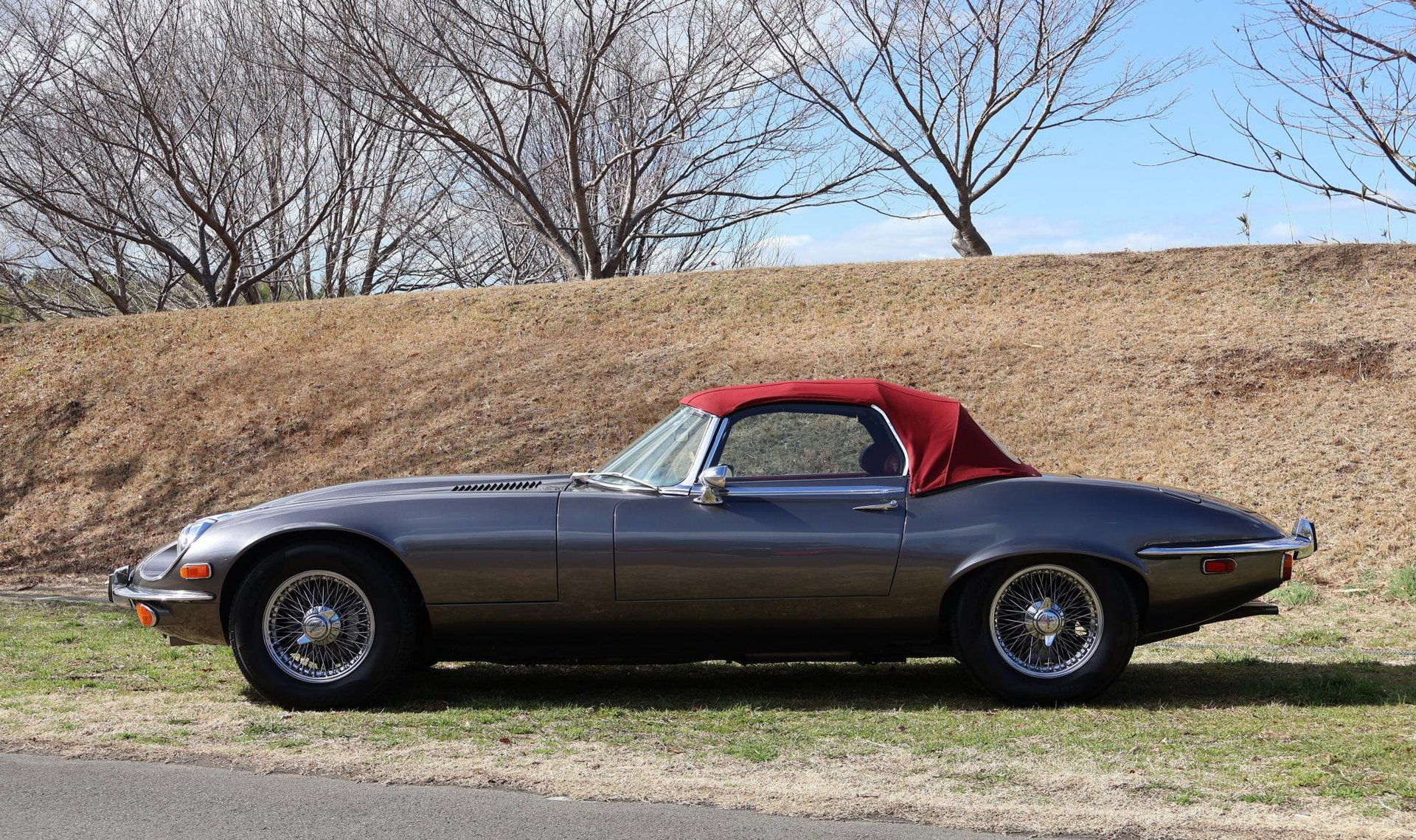 1973 Jaguar E-Type SIII - Roadster, foto 4