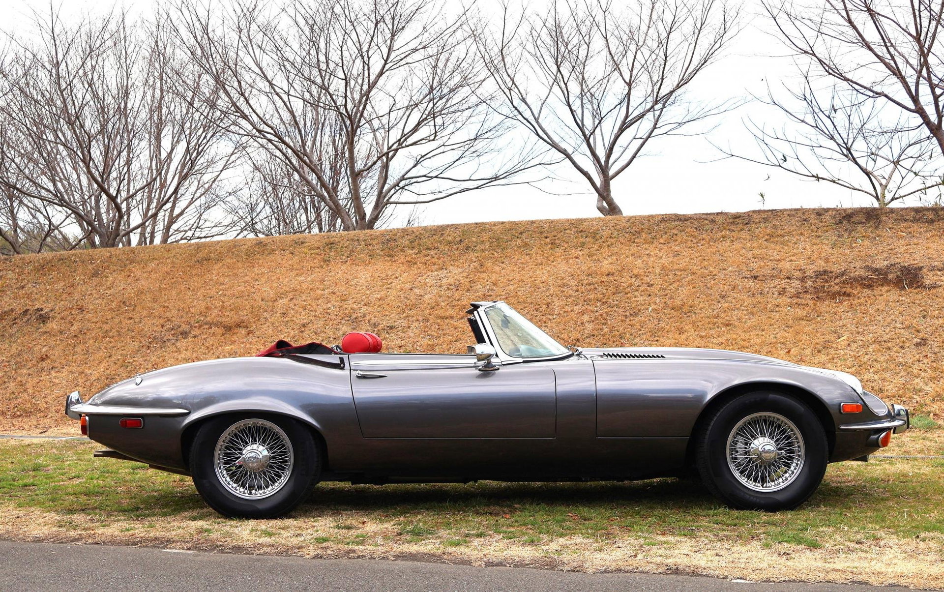 1973 Jaguar E-Type SIII - Roadster, foto 5