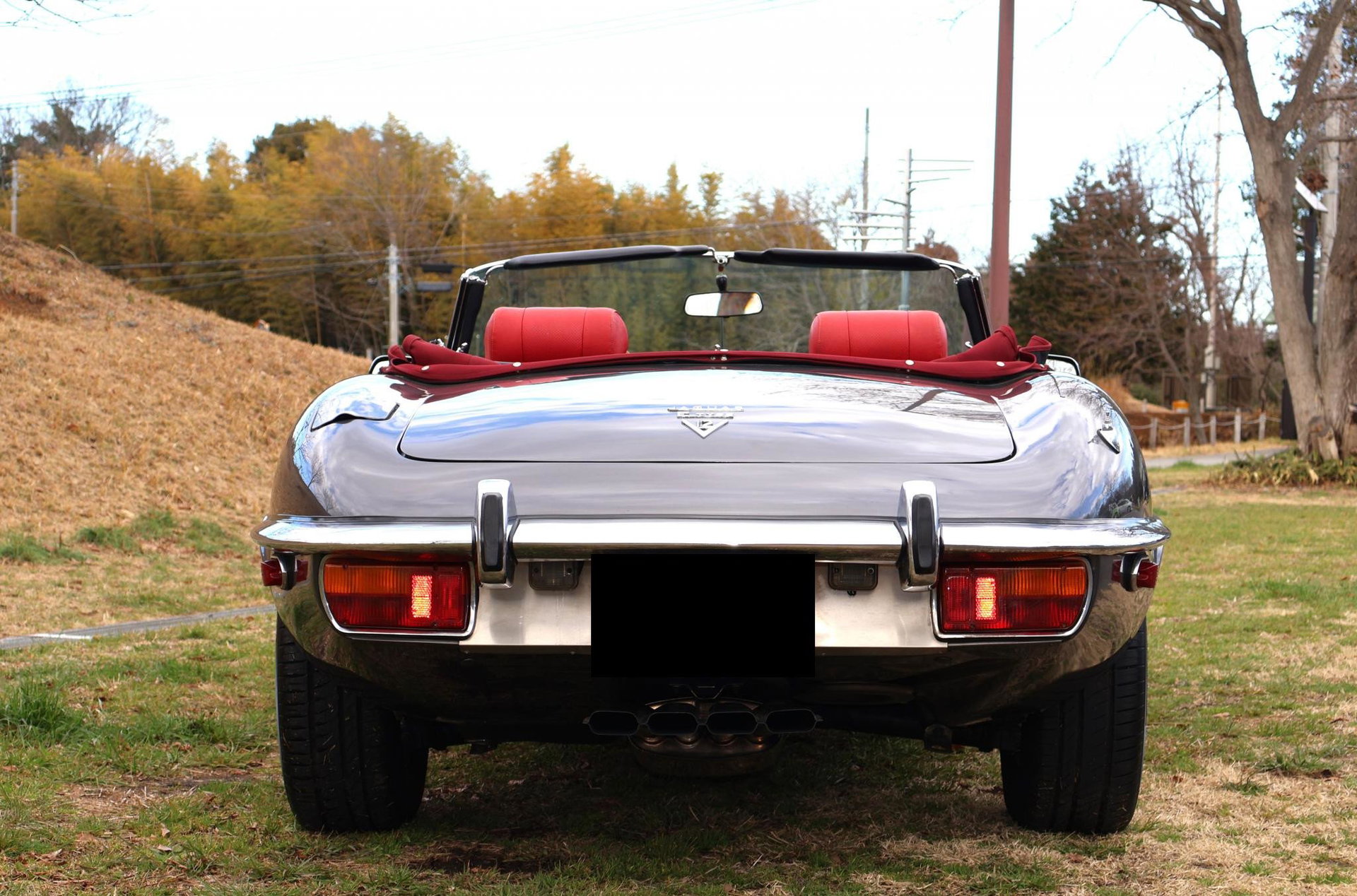 1973 Jaguar E-Type SIII - Roadster, foto 6