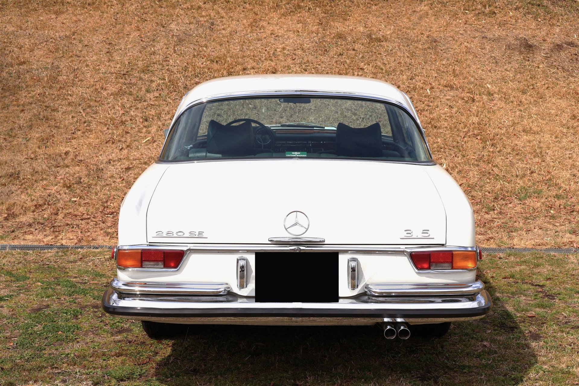 1971 Mercedes-Benz S-Class W111/112 - 280 SE 3.5 Coupe, foto 5