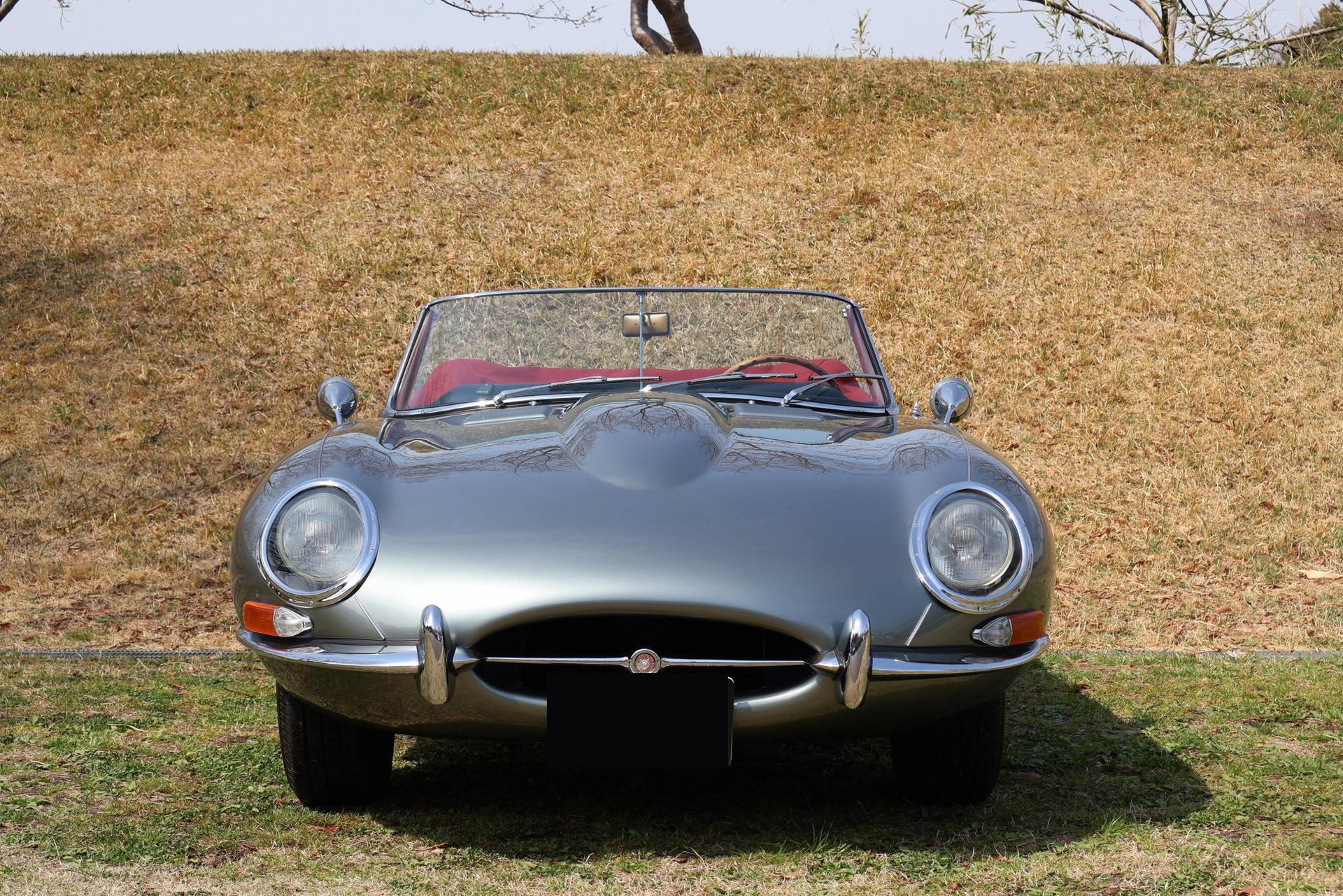 1965 Jaguar E-Type SI - 4.2 Roadster, foto 5