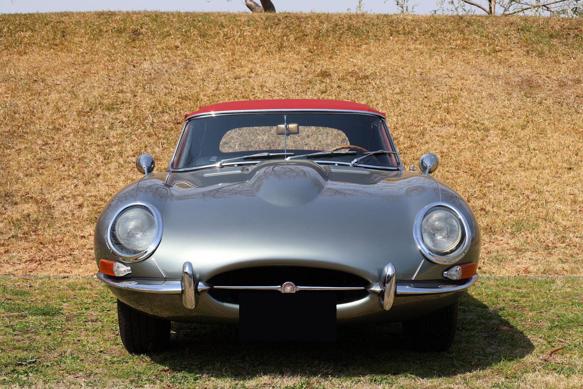 1965 Jaguar E-Type SI - 4.2 Roadster, foto 6
