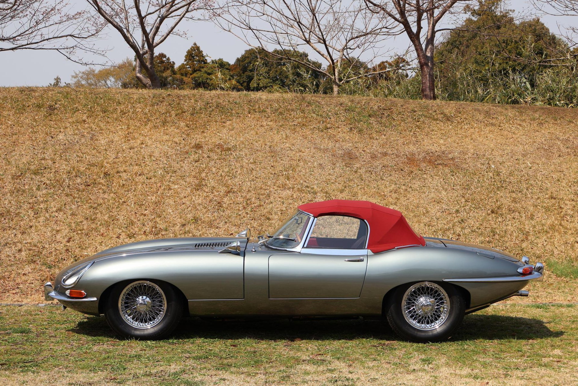 1965 Jaguar E-Type SI - 4.2 Roadster, foto 8