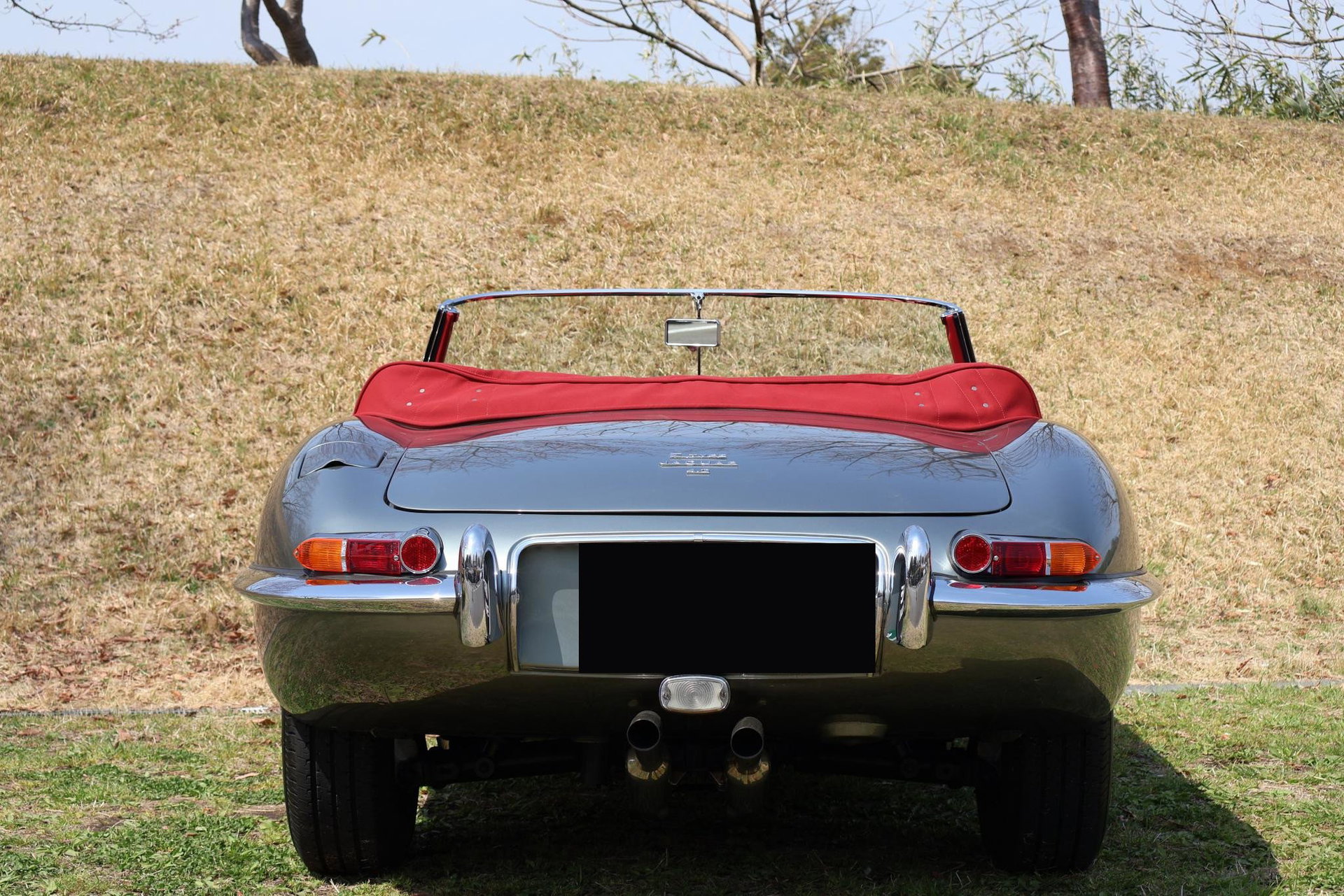 1965 Jaguar E-Type SI - 4.2 Roadster, foto 9