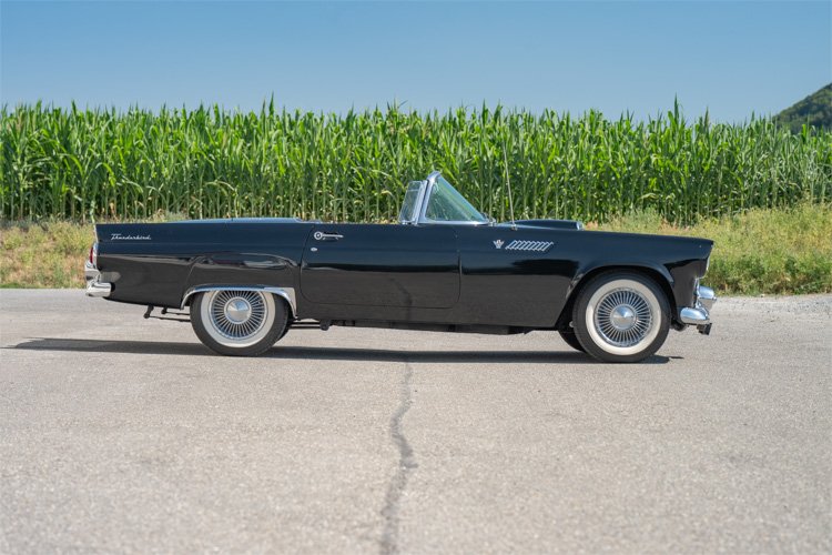 1955 Ford Thunderbird - Roadster, foto 5