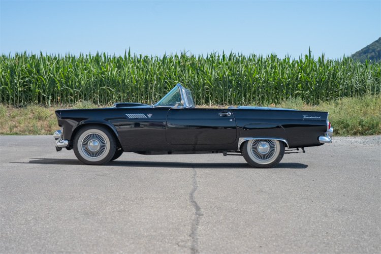 1955 Ford Thunderbird - Roadster, foto 6