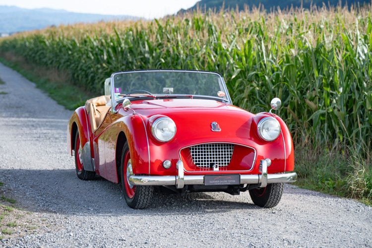 1954 Triumph TR250 - Long Door Roadster, foto 2