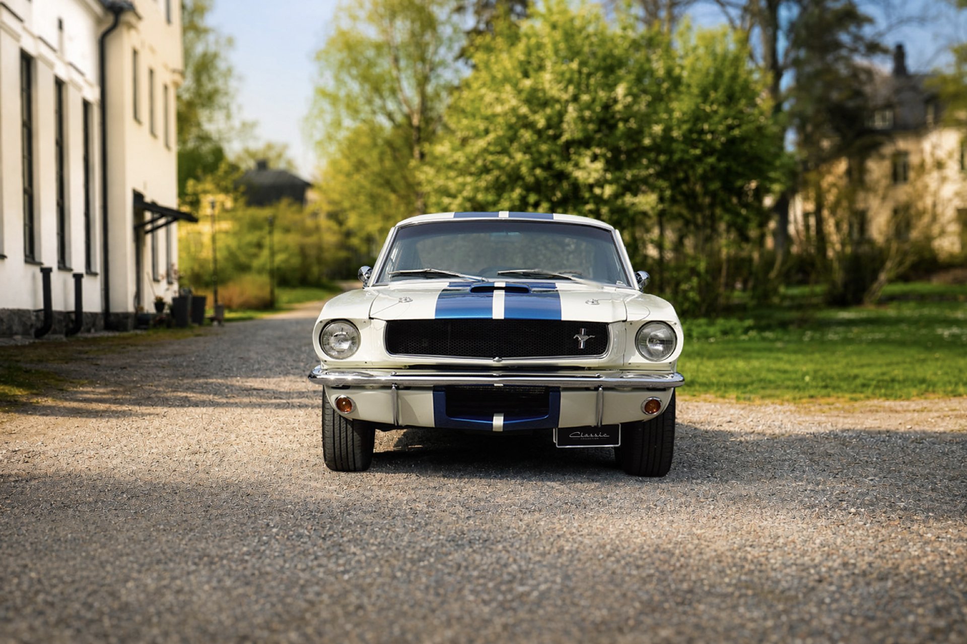 1965 Ford GT350 - 1965 Shelby Mustang GT350 Replica, foto 2
