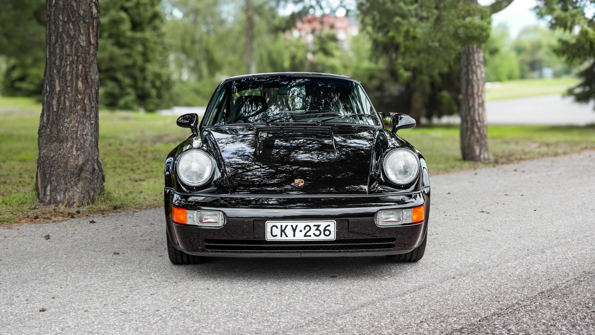 1991 Porsche 911 / 964 Turbo, foto 2