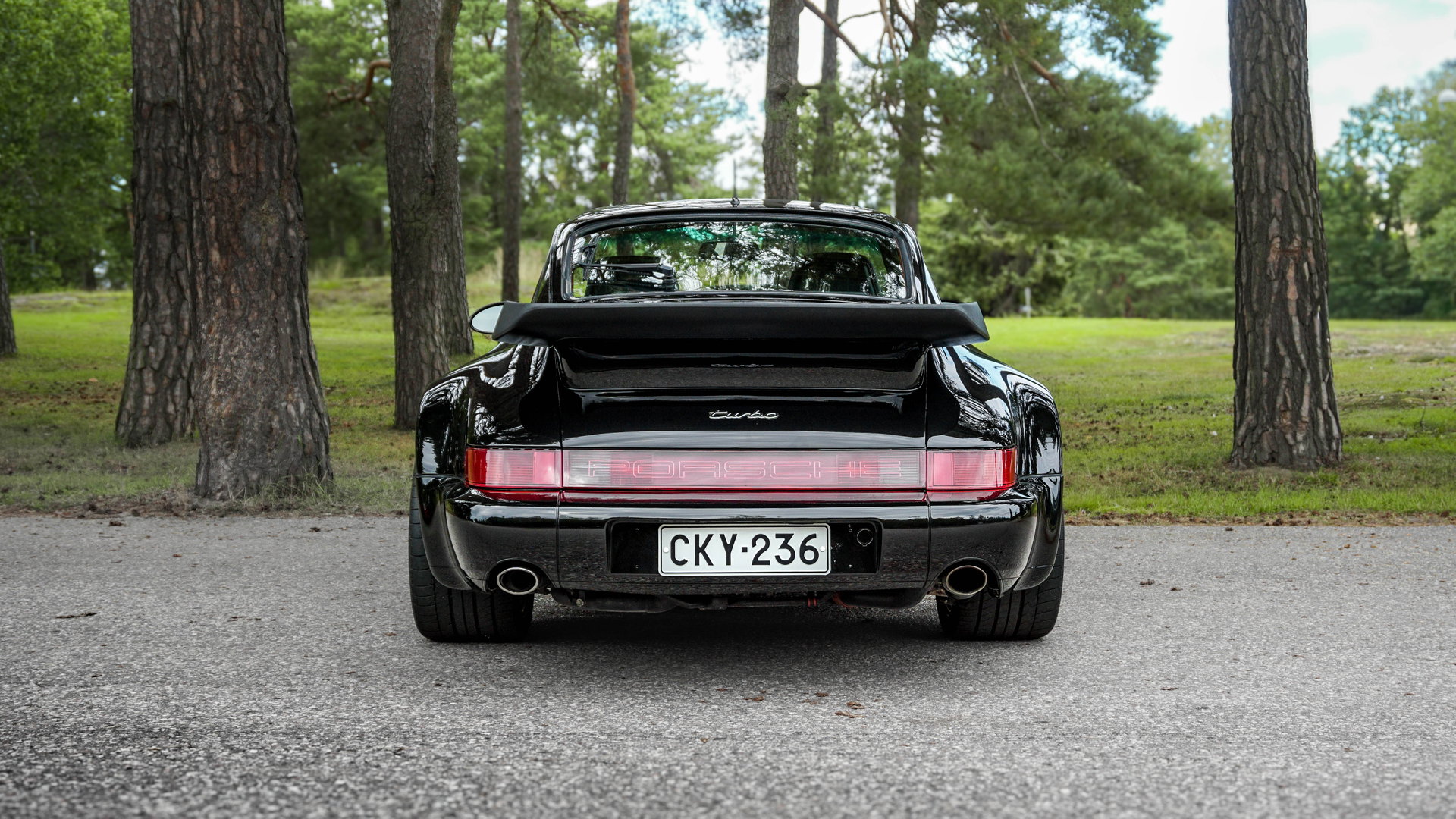1991 Porsche 911 / 964 Turbo, foto 5