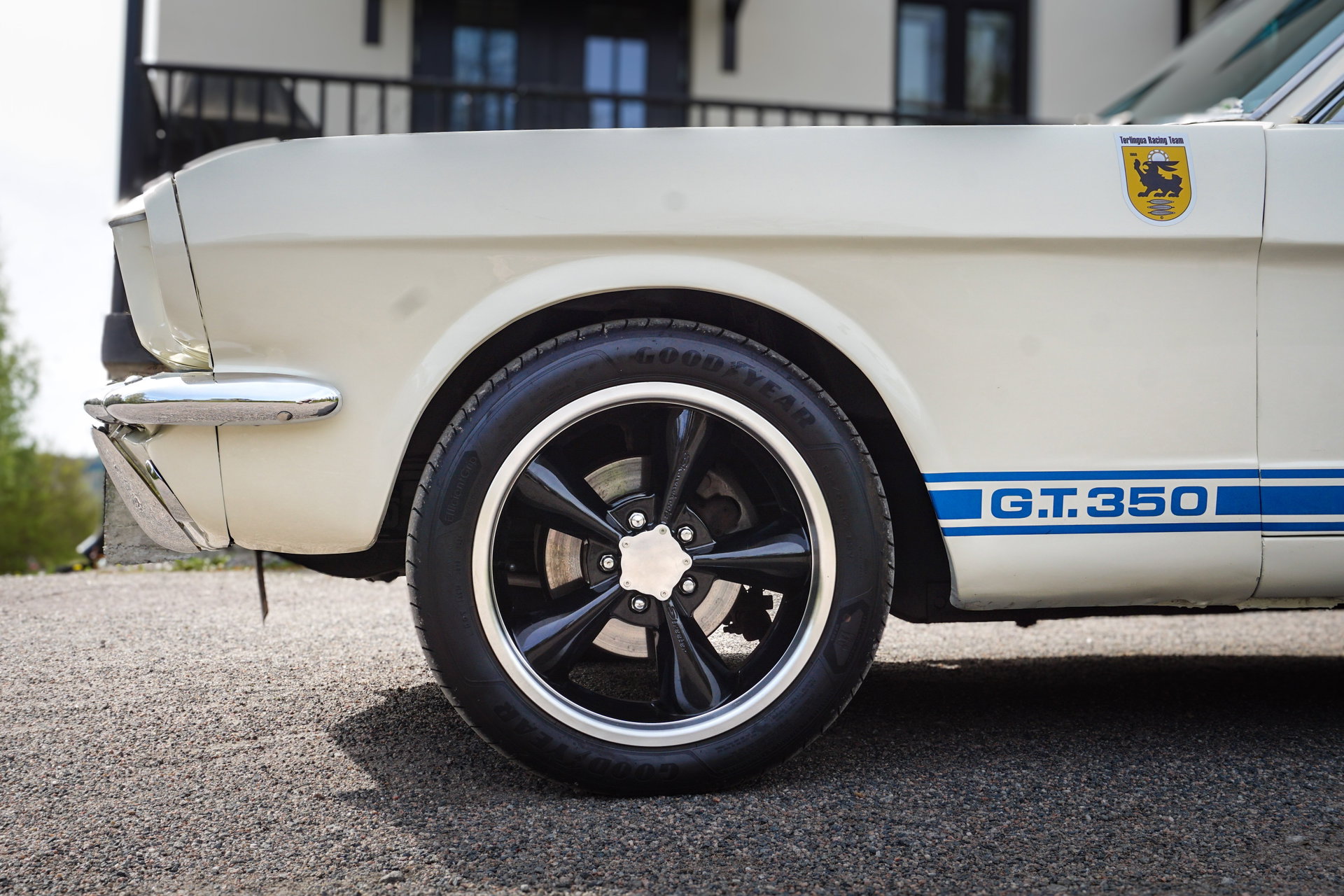 1965 Ford GT350 - 1965 Shelby Mustang GT350 Replica, foto 9