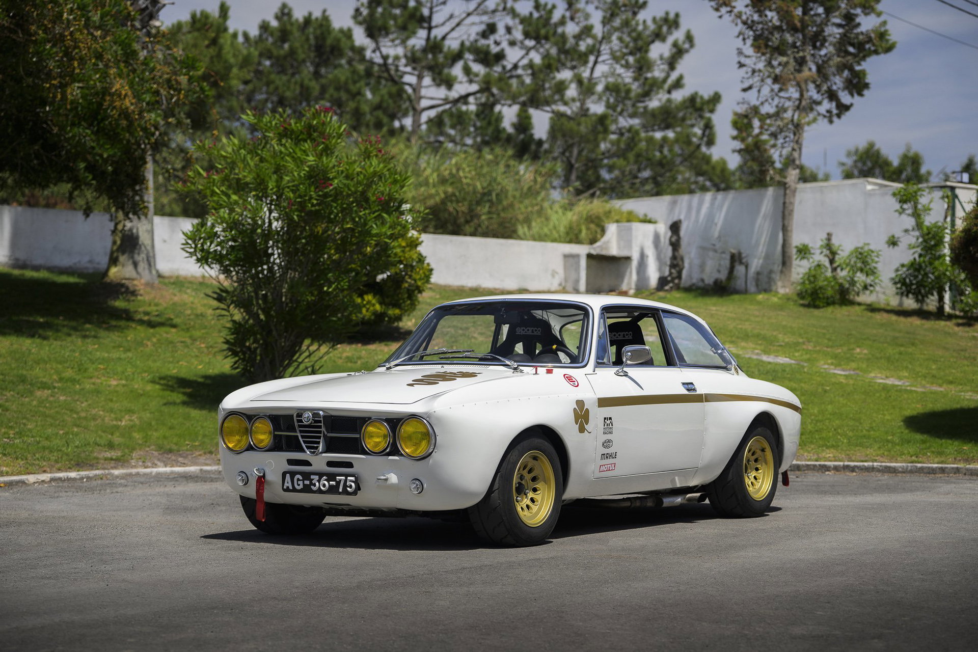 1971 Alfa Romeo GTV - GTAm - FIA HTP, foto 1