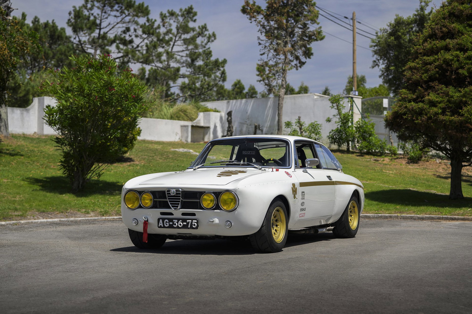 1971 Alfa Romeo GTV - GTAm - FIA HTP, foto 2