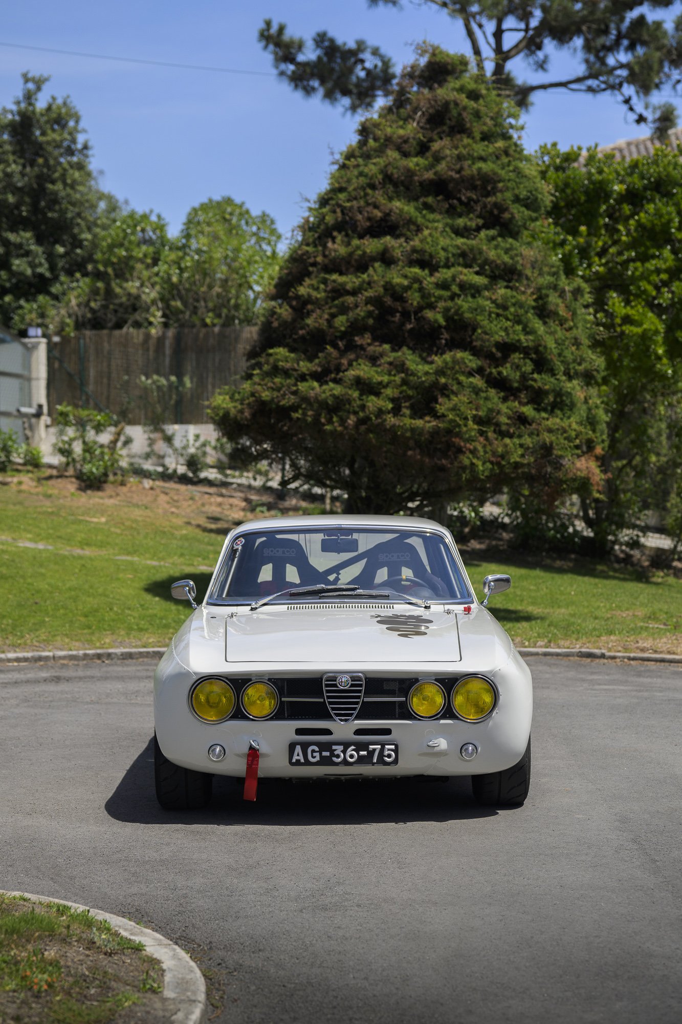 1971 Alfa Romeo GTV - GTAm - FIA HTP, foto 3