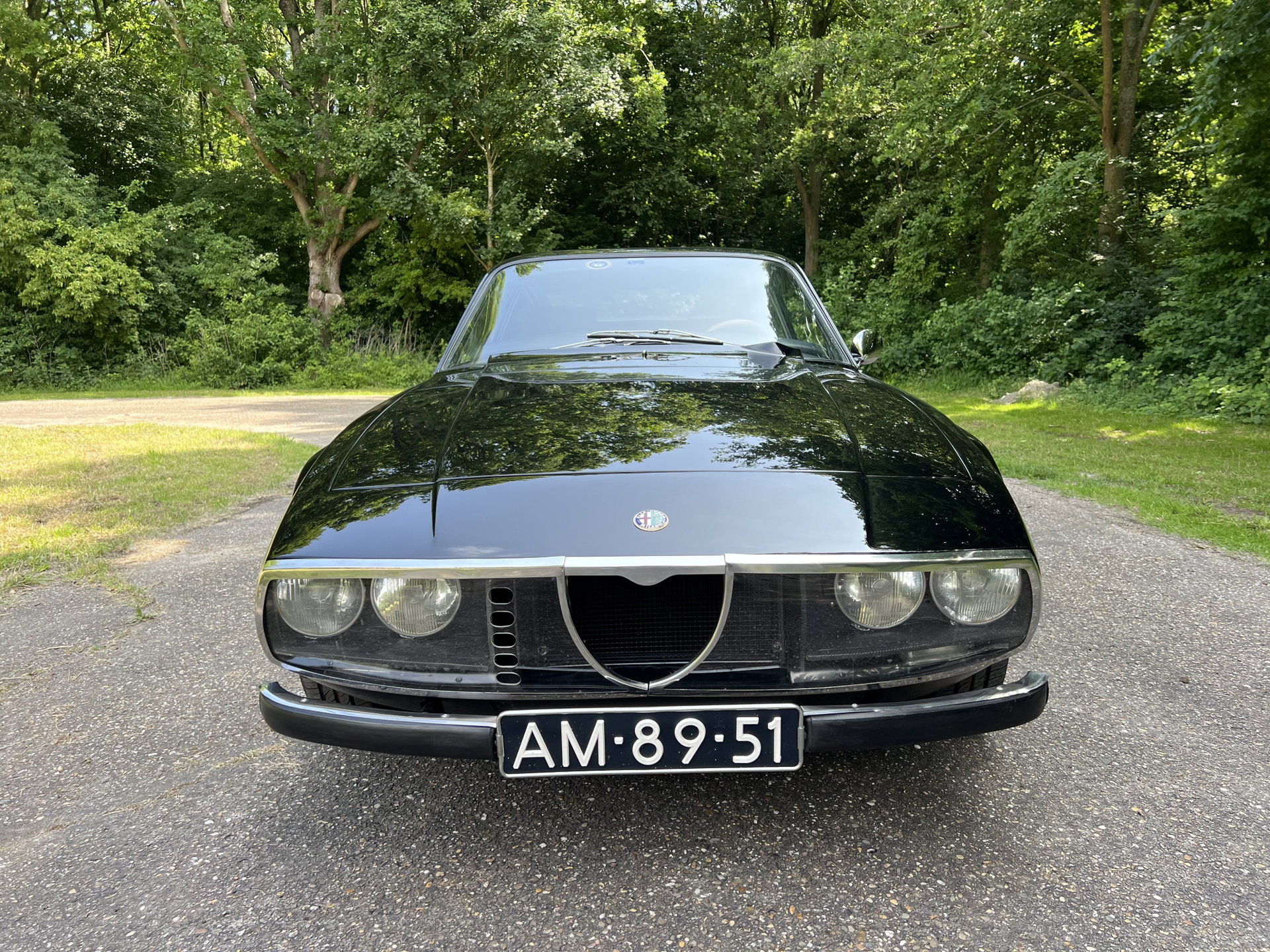 1970 Alfa Romeo Junior Zagato - 1300, foto 8