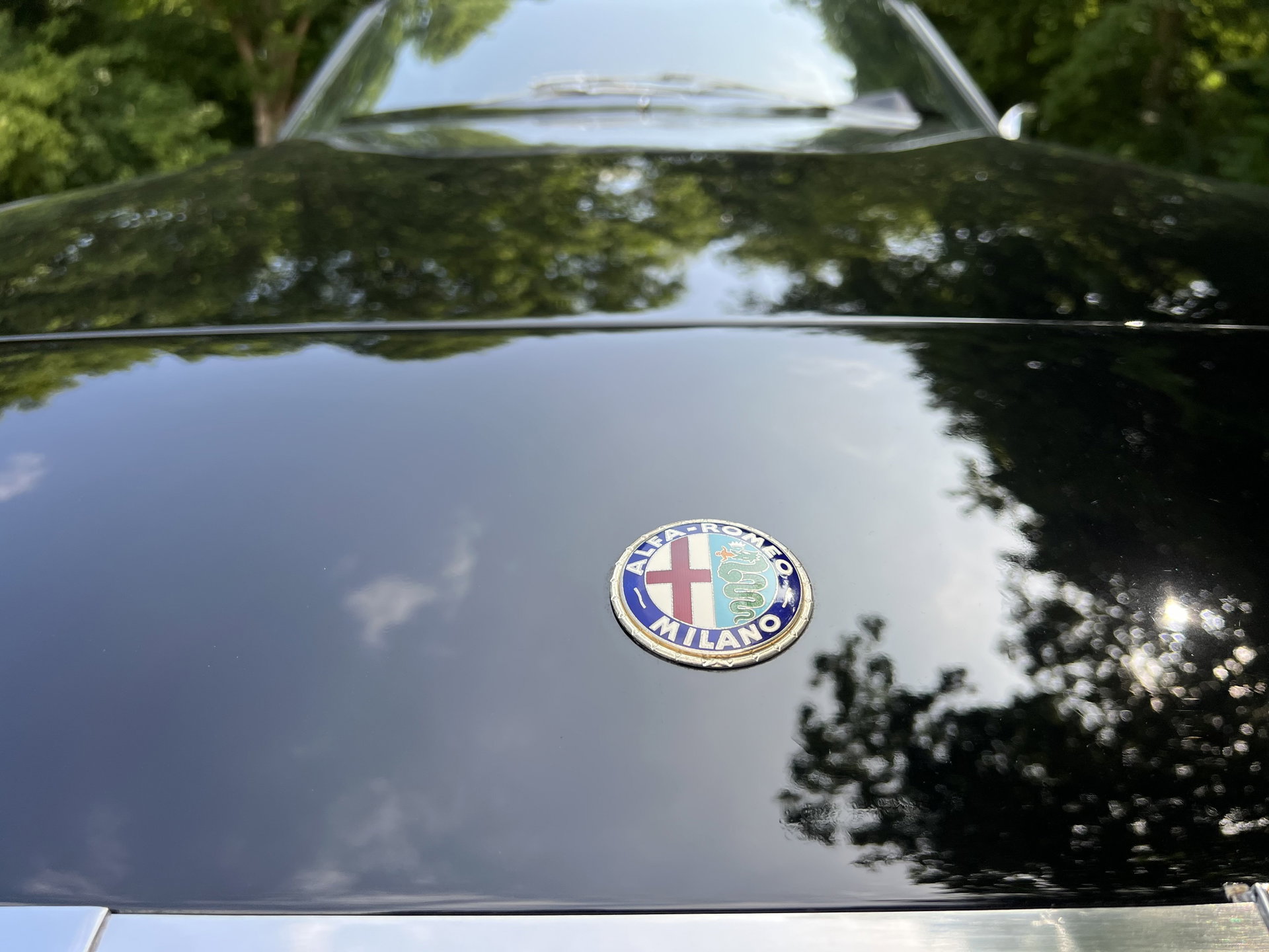 1970 Alfa Romeo Junior Zagato - 1300, foto 10