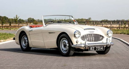 Austin-Healey 100 / 6