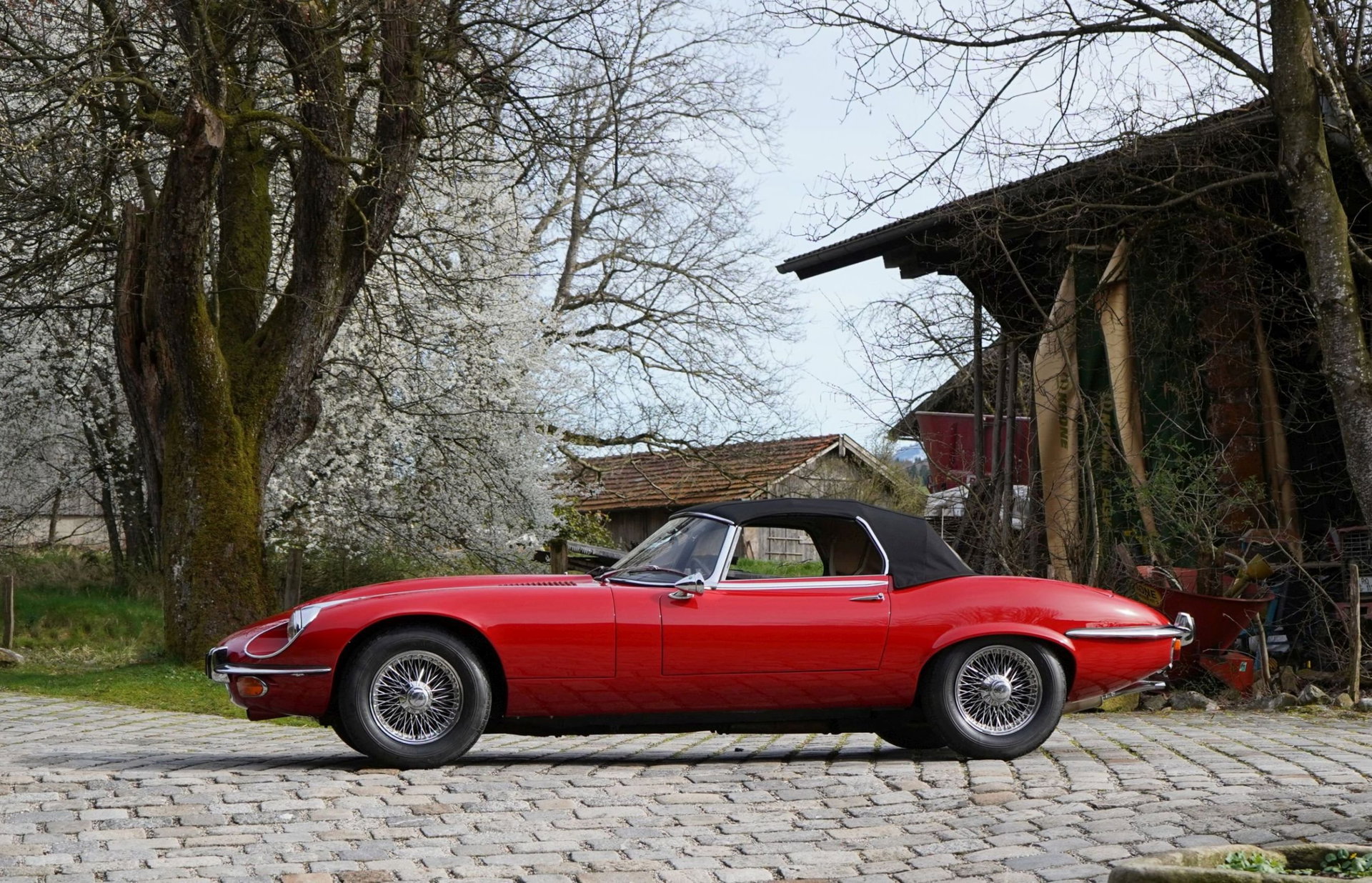 1972 Jaguar E-Type SIII - Jaguar E-Type S III Roadster, foto 3