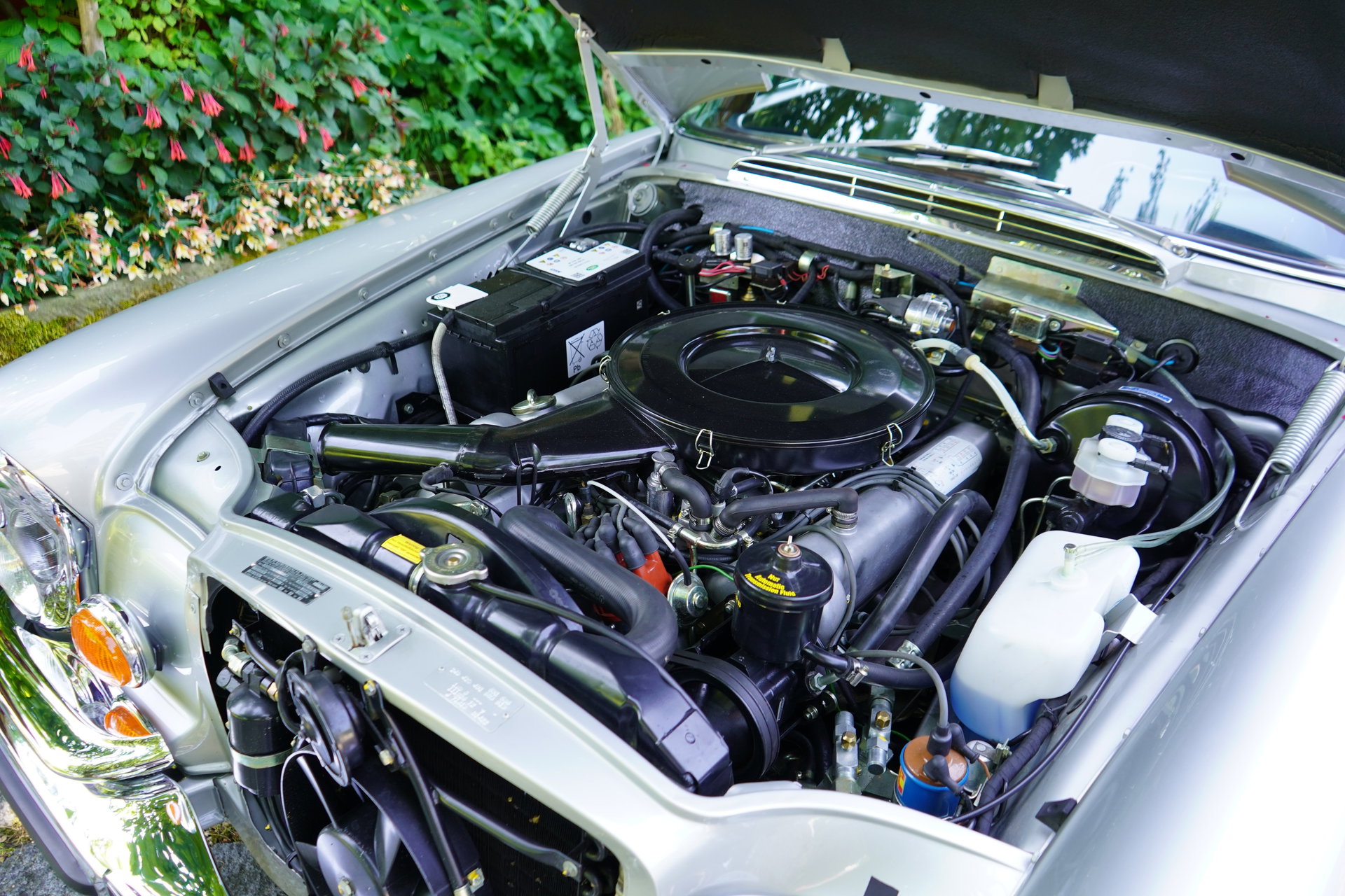 1971 Mercedes-Benz S-Class W111/112 - 280 SE 3.5 Coupé, completely restored with enormous efforts, foto 9