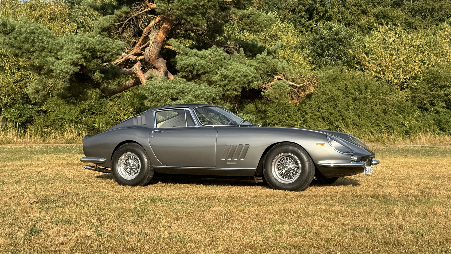 1967 Ferrari 275 - 275 GTB 4 ° Classiche Certification ° Top Condition, foto 2