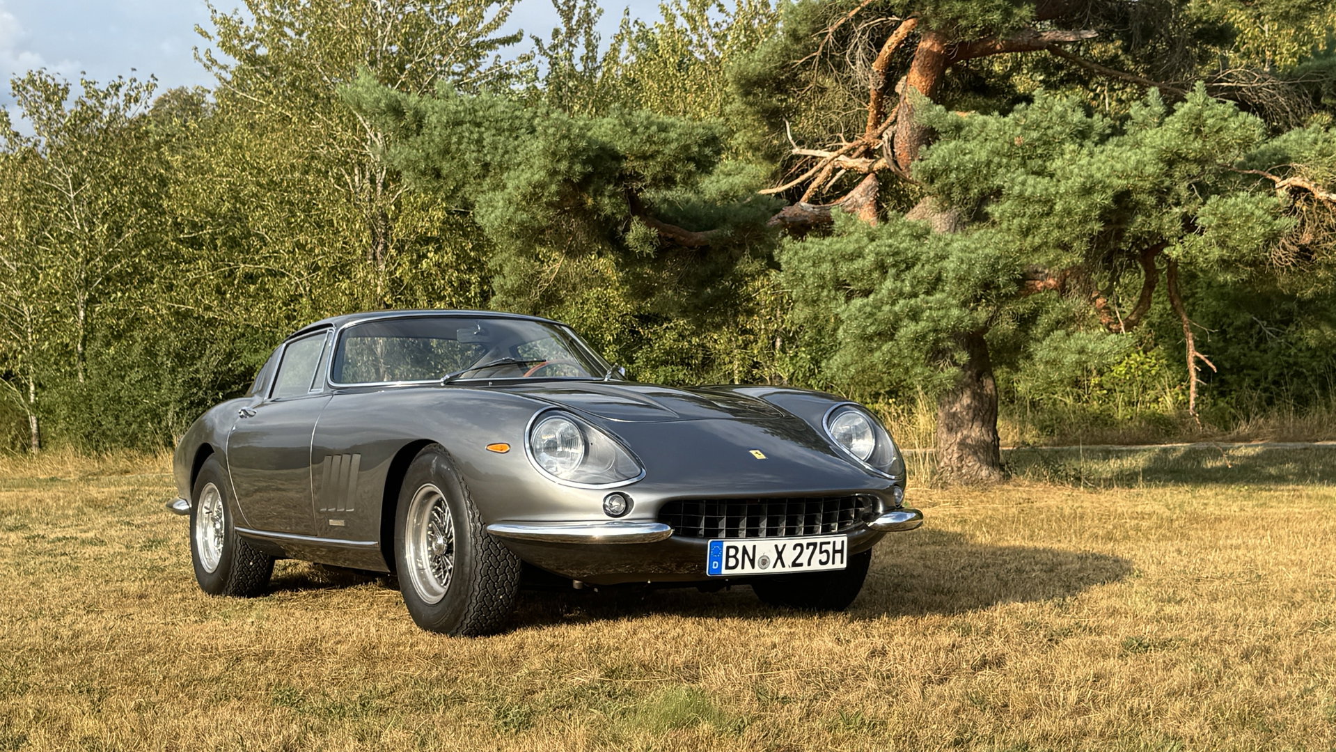 1967 Ferrari 275 - 275 GTB 4 ° Classiche Certification ° Top Condition, foto 3