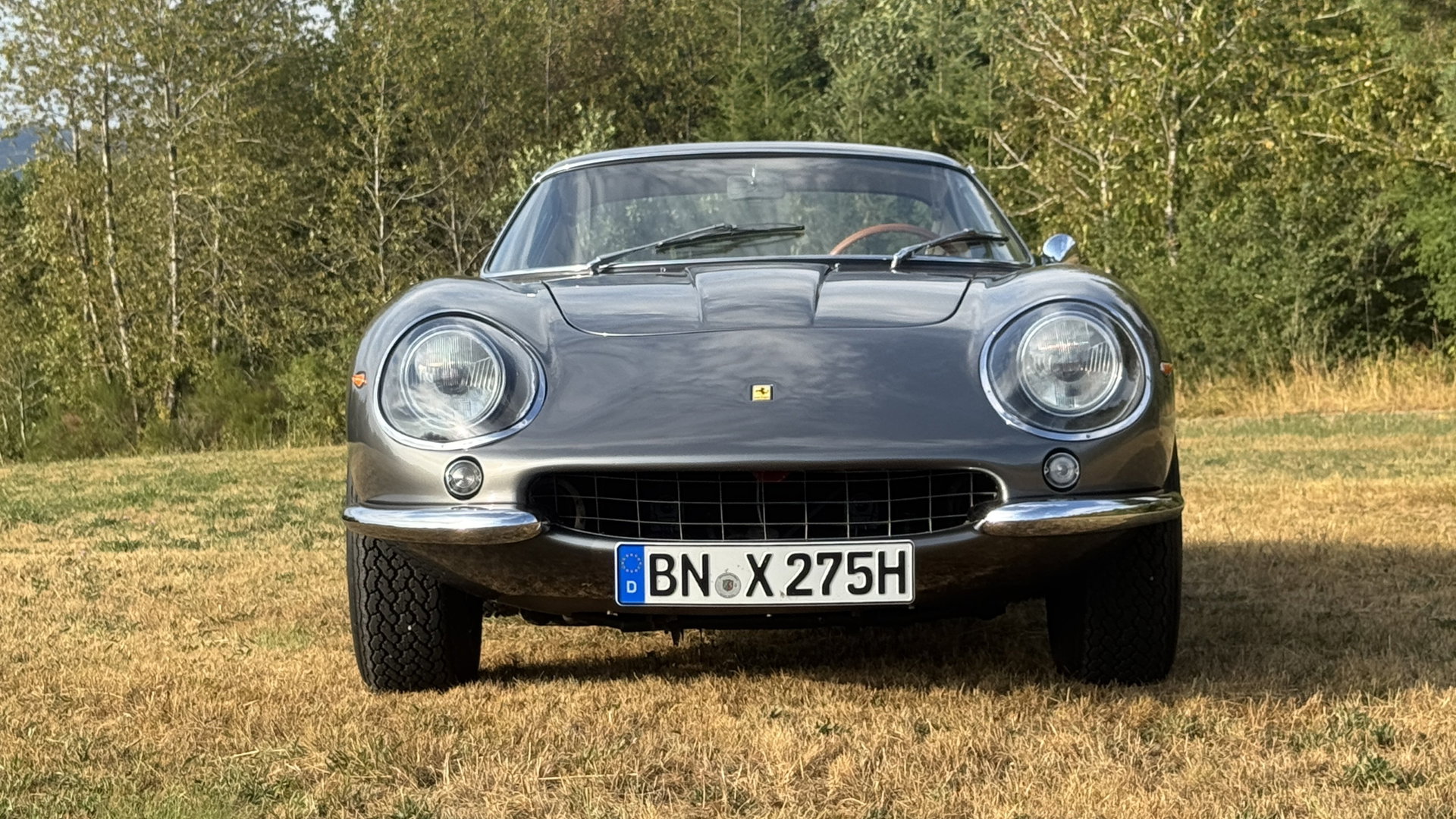 1967 Ferrari 275 - 275 GTB 4 ° Classiche Certification ° Top Condition, foto 4