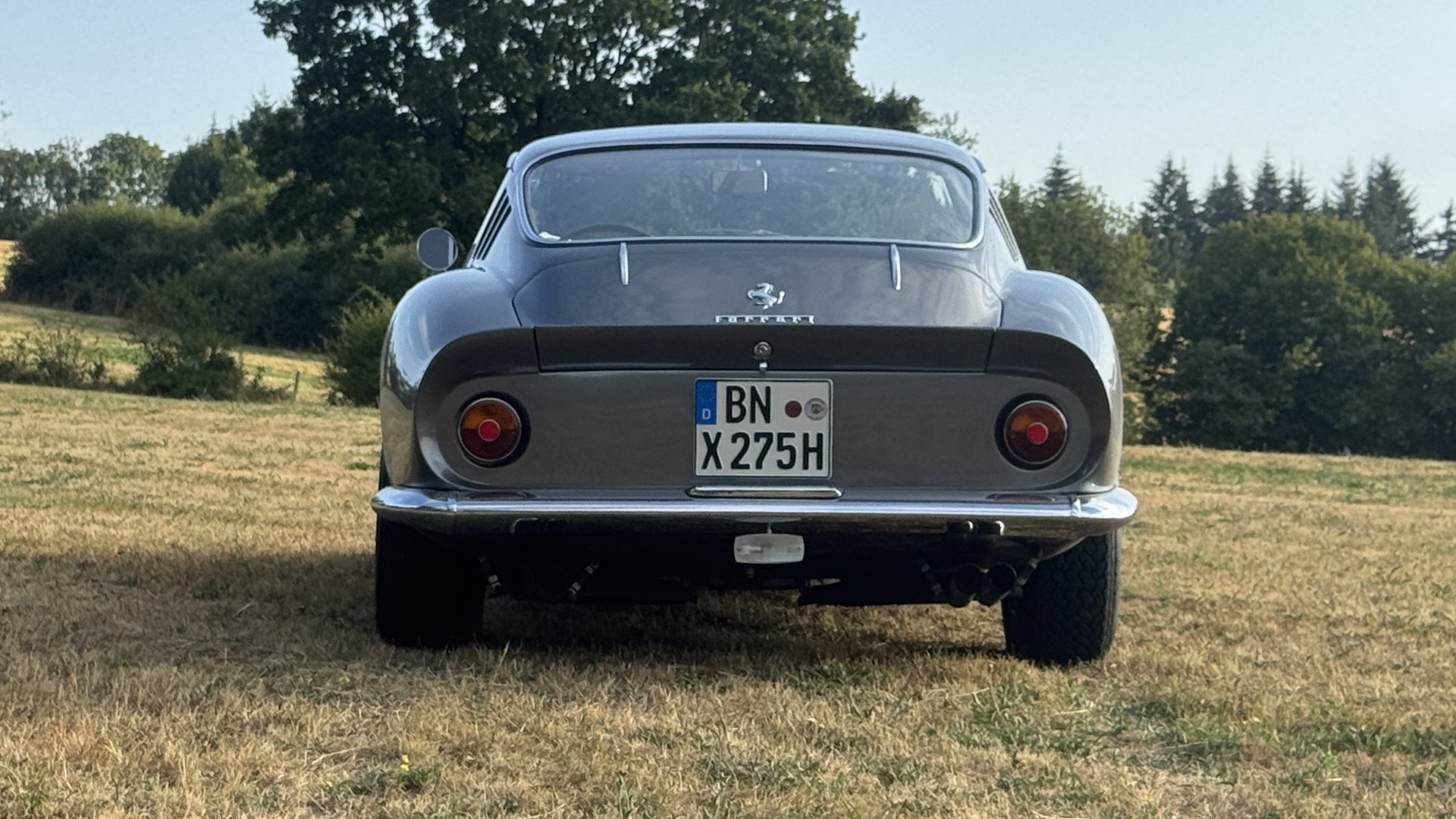 1967 Ferrari 275 - 275 GTB 4 ° Classiche Certification ° Top Condition, foto 9