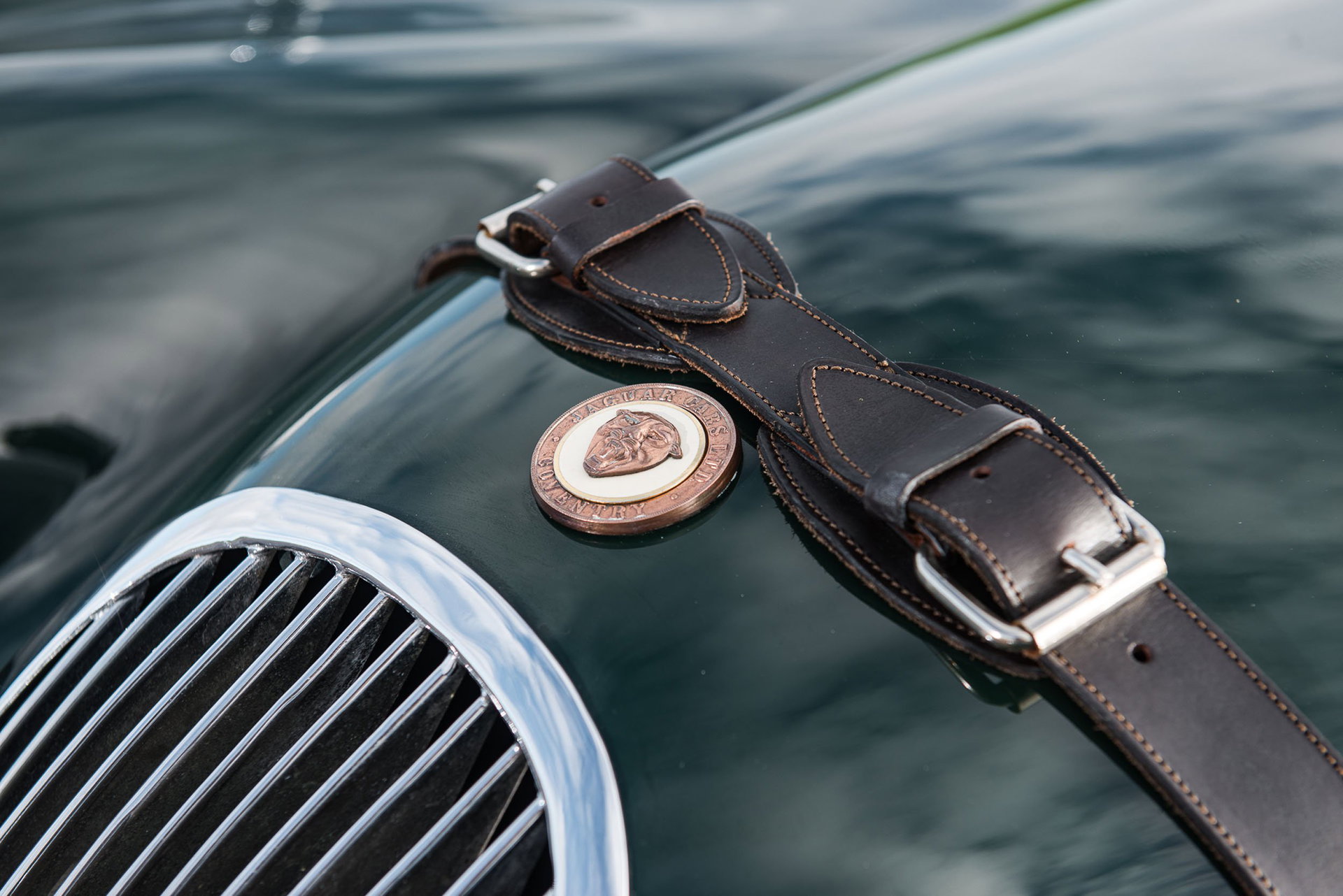 1951 Jaguar XK 120 - Roadster, foto 8