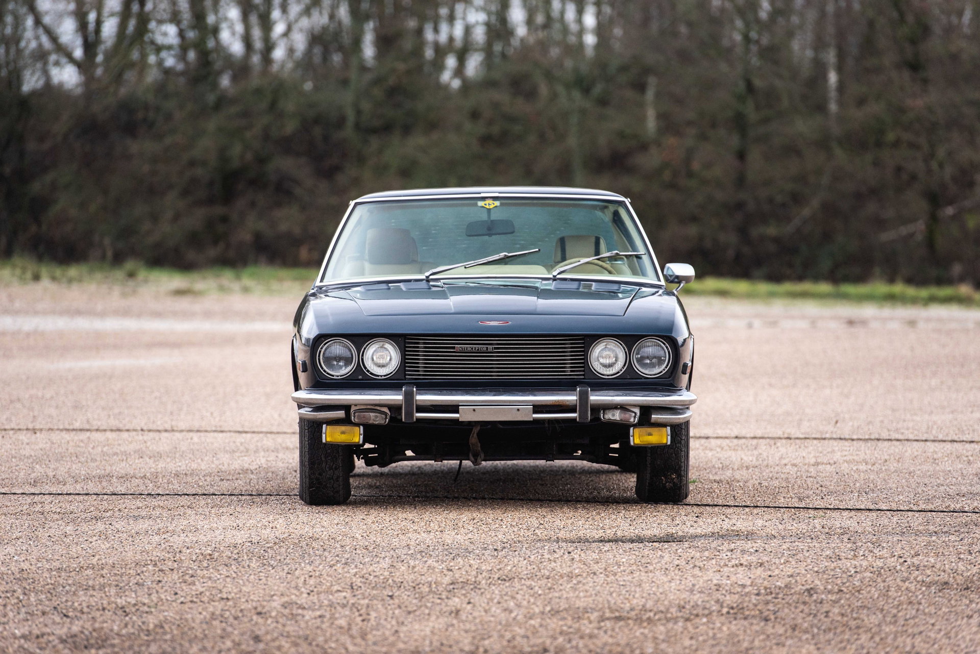 1976 Jensen Interceptor, foto 11