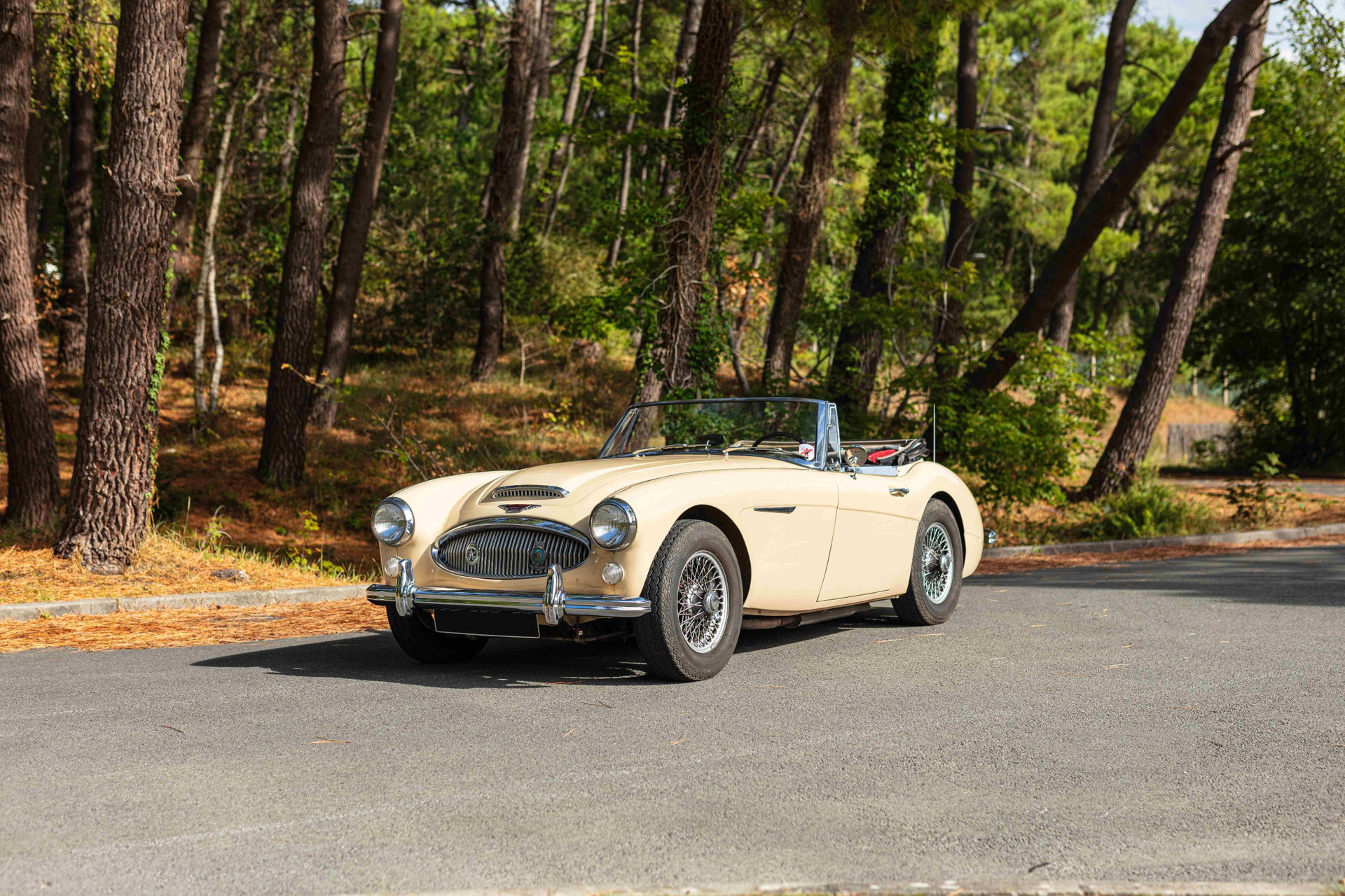 1960 Austin-Healey 3000, foto 1