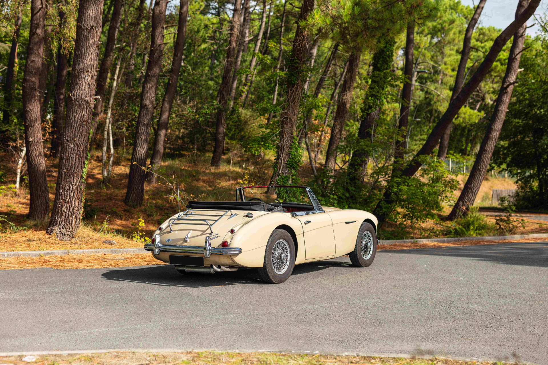 1960 Austin-Healey 3000, foto 2