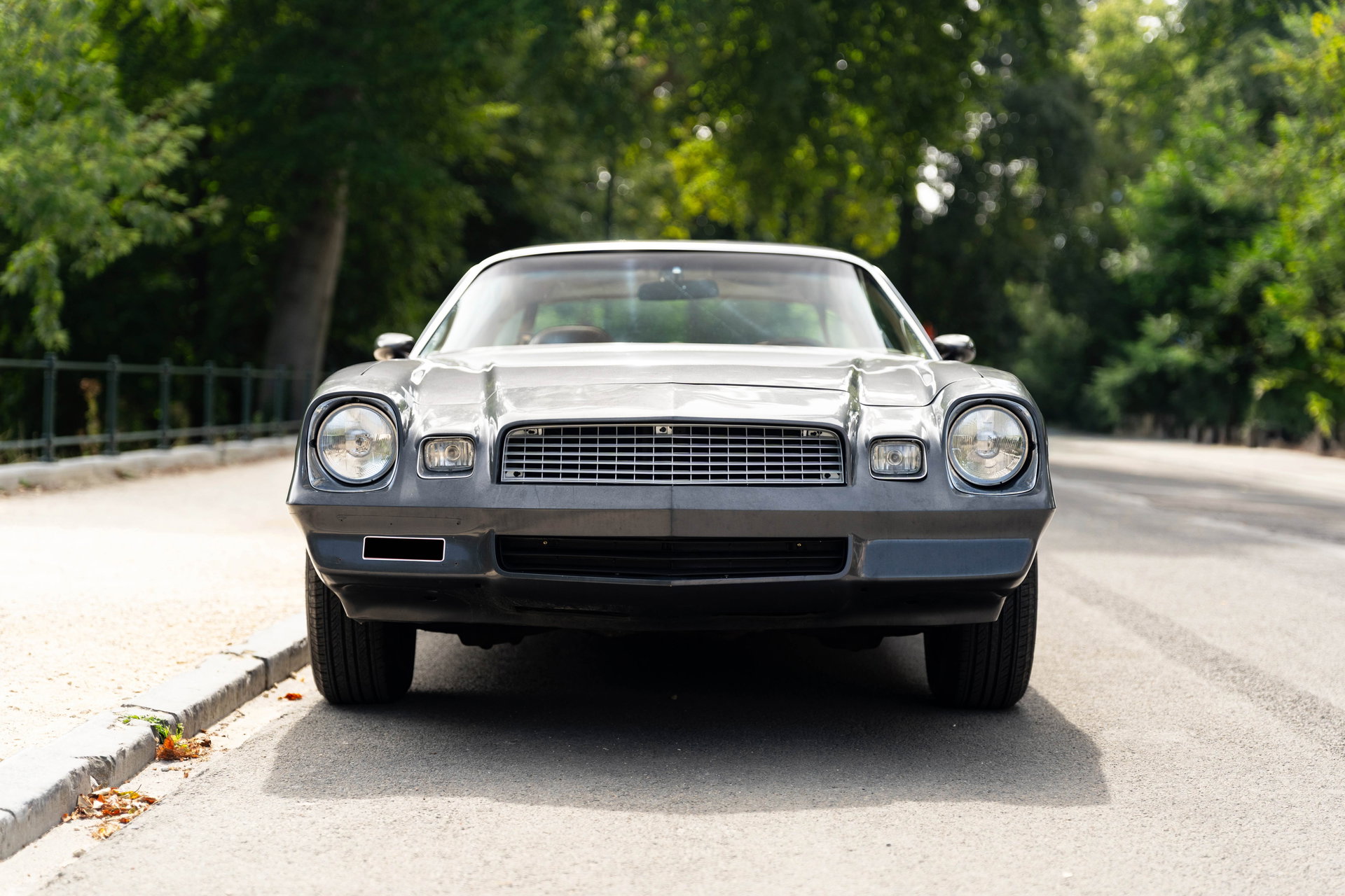 1980 Chevrolet Camaro, foto 8