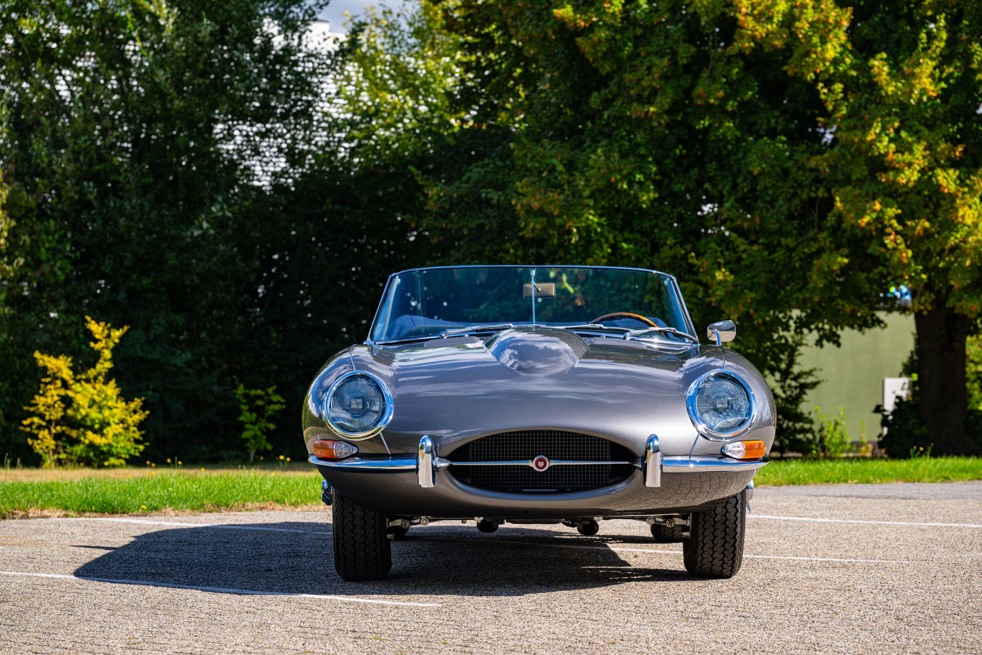 1965 Jaguar E-Type SI - Jaguar E-Type S1 Roadster, foto 4