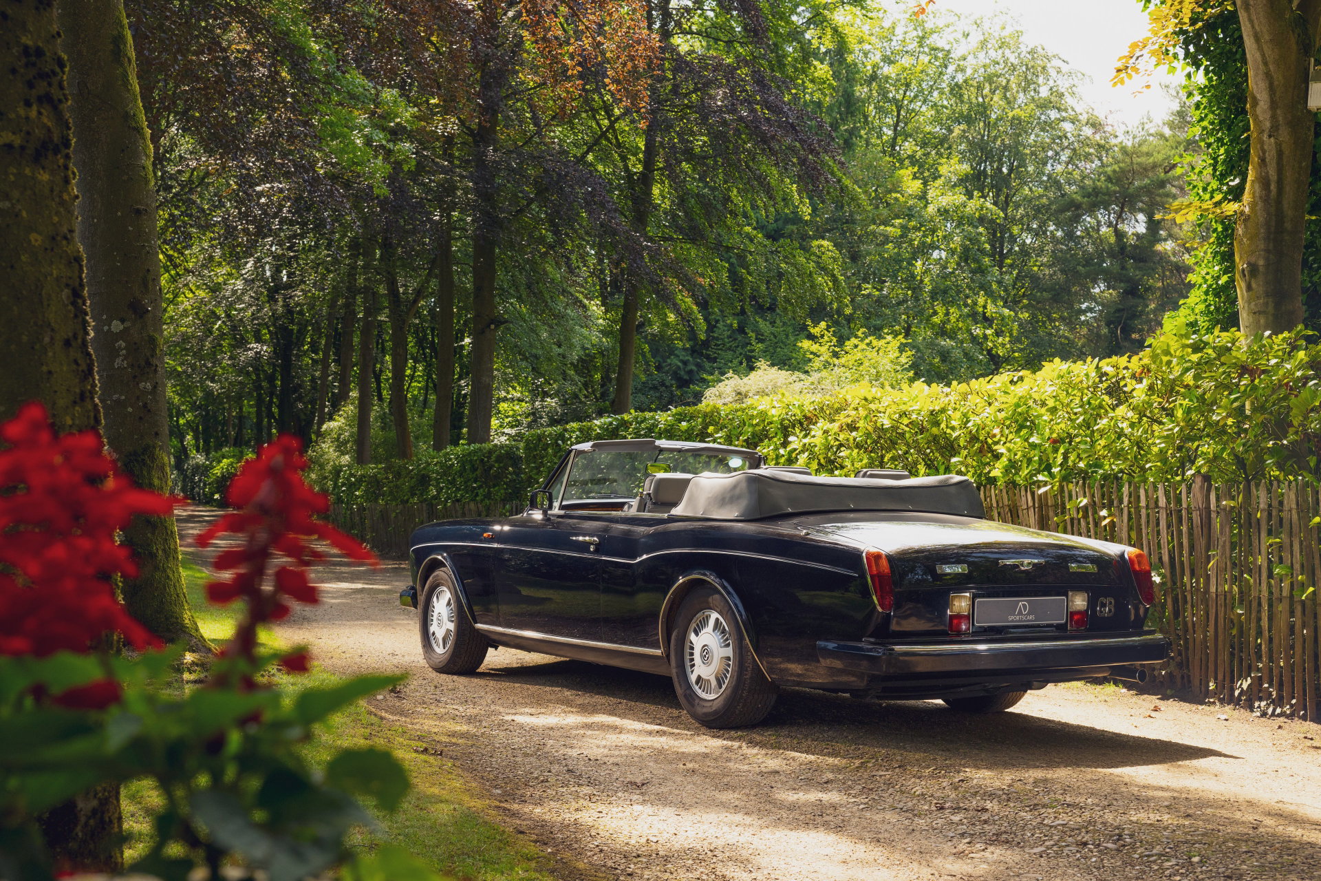 1990 Bentley Continental - Convertible | Dealer Maintained, foto 2